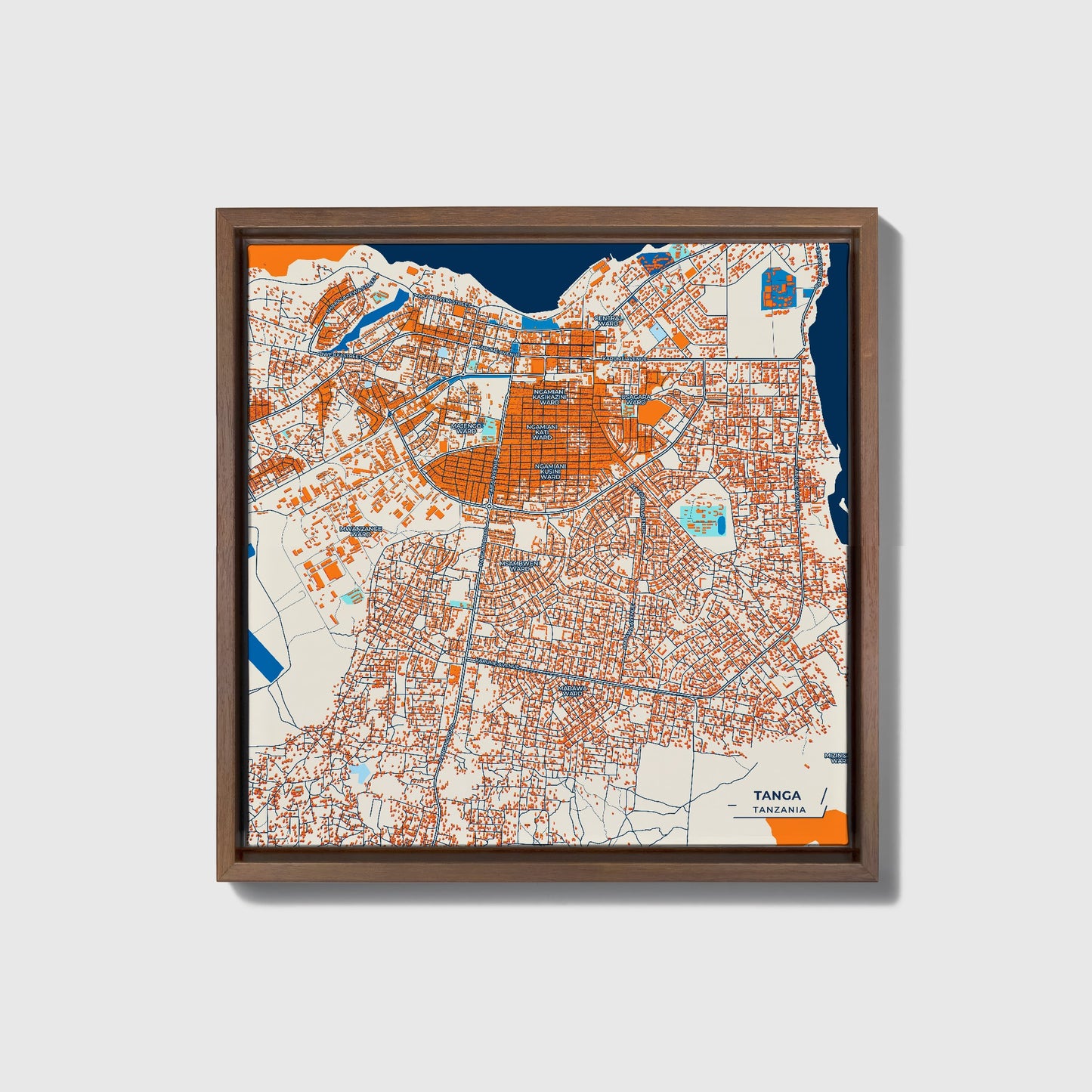 Tanga Tanzania Colorful City Map Canvas Print • Dark Wooden Framed