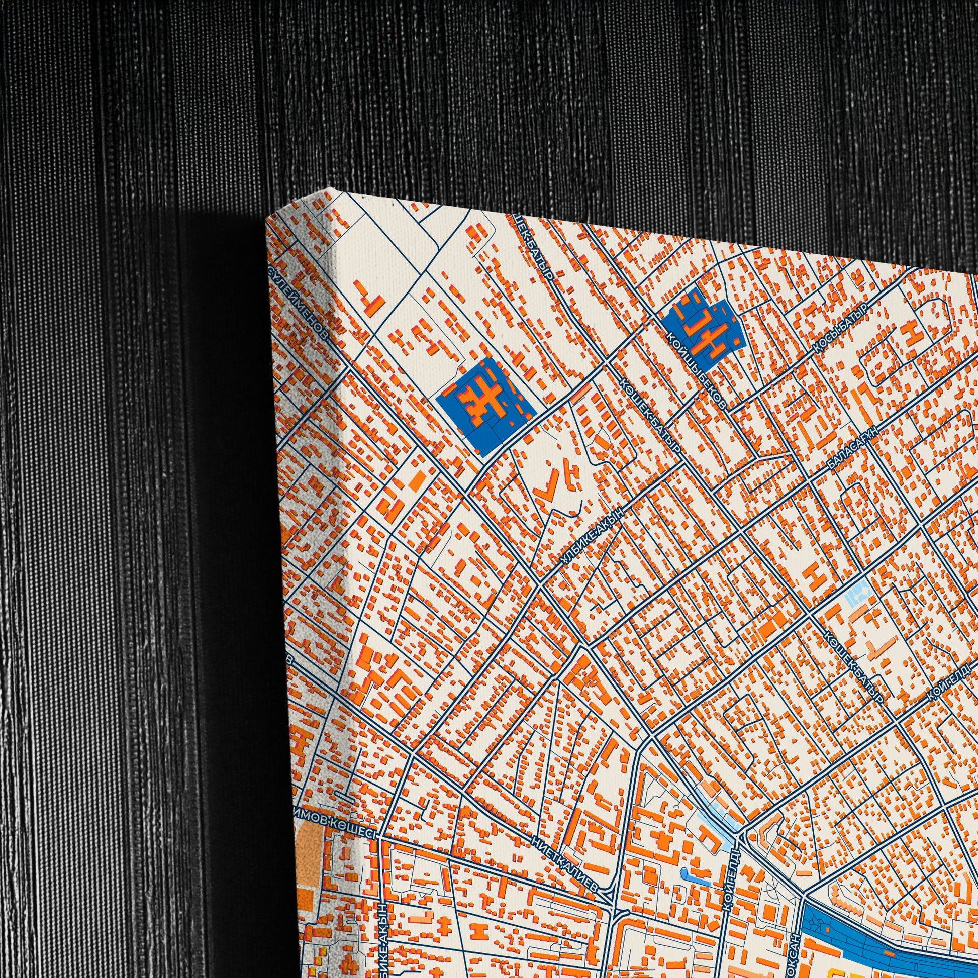 Taraz Kazakhstan Colorful City Map Canvas Print Detail