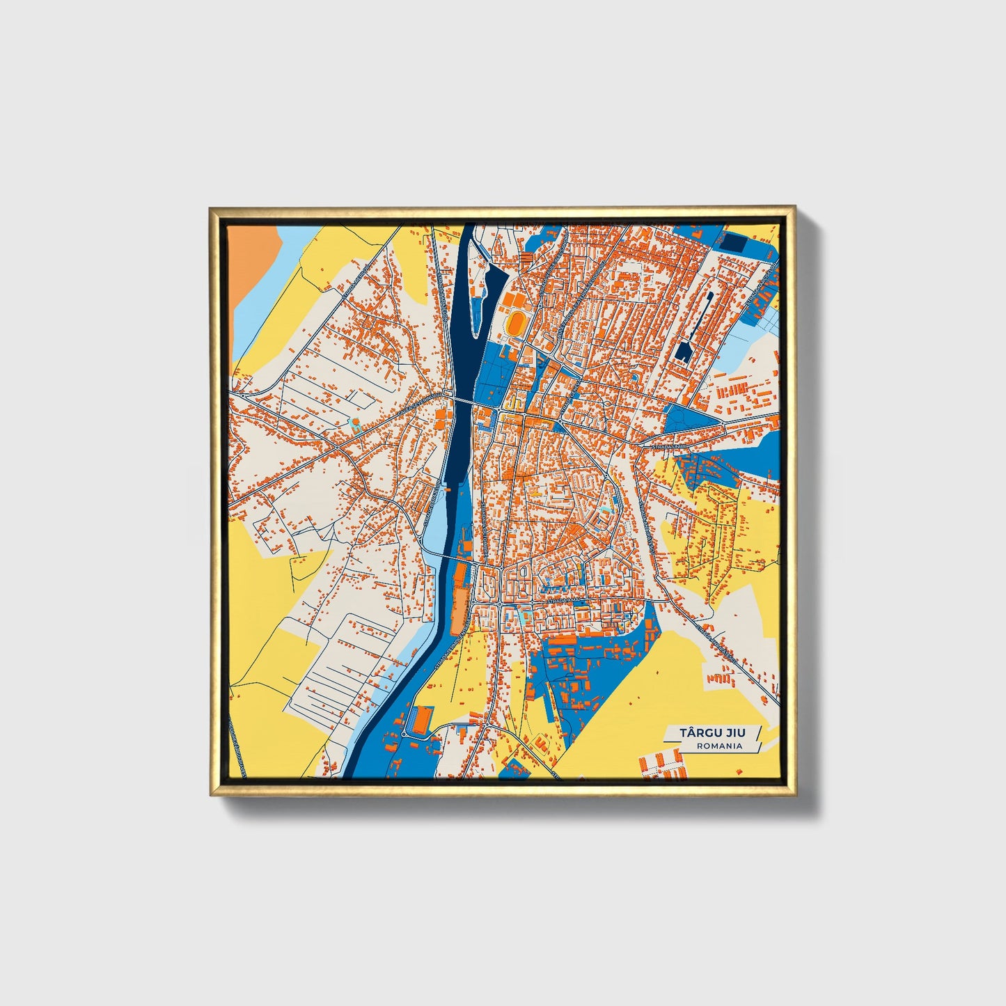 Târgu Jiu Romania Colorful City Map Canvas Print • Gold Framed