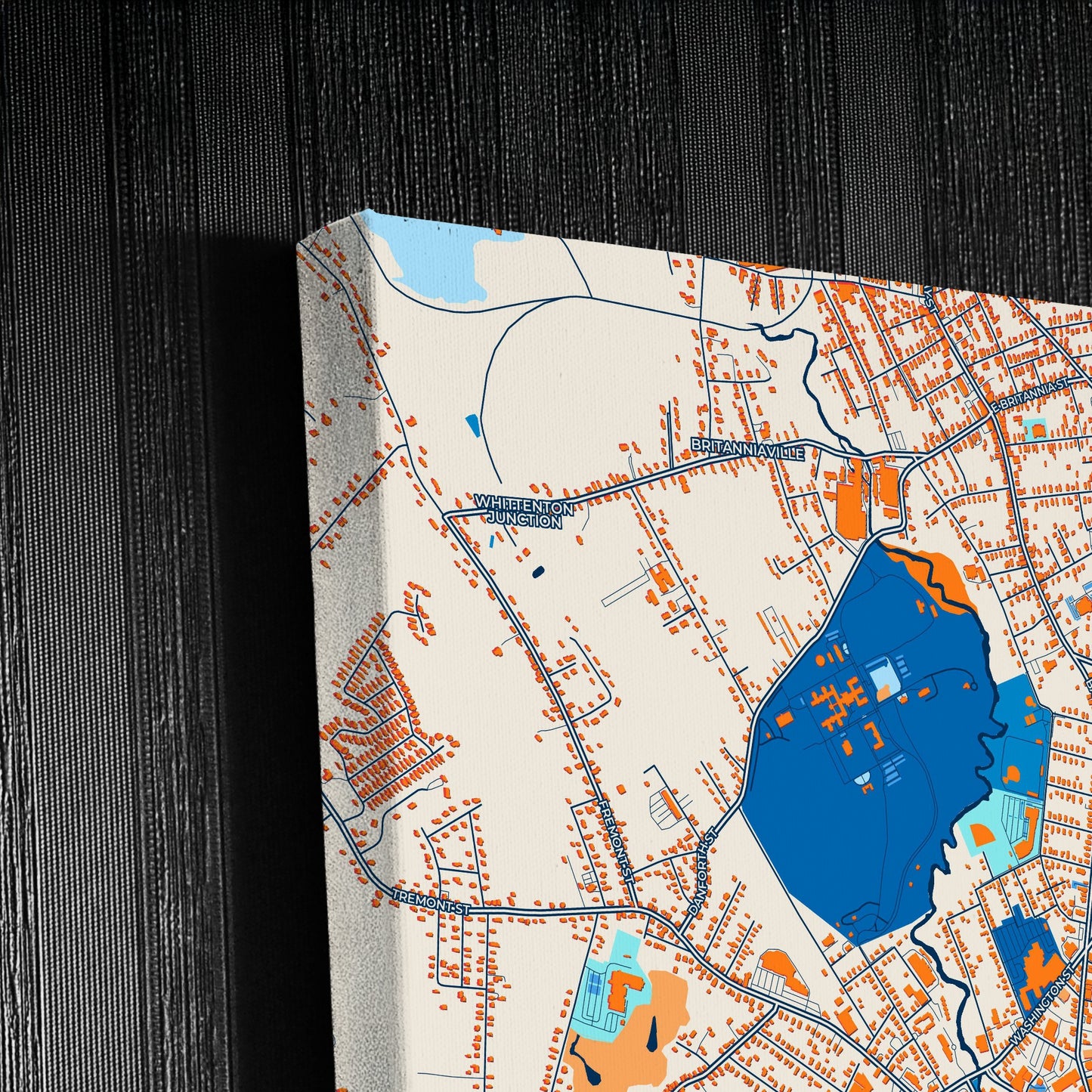Taunton Massachusetts Colorful City Map Canvas Print Detail