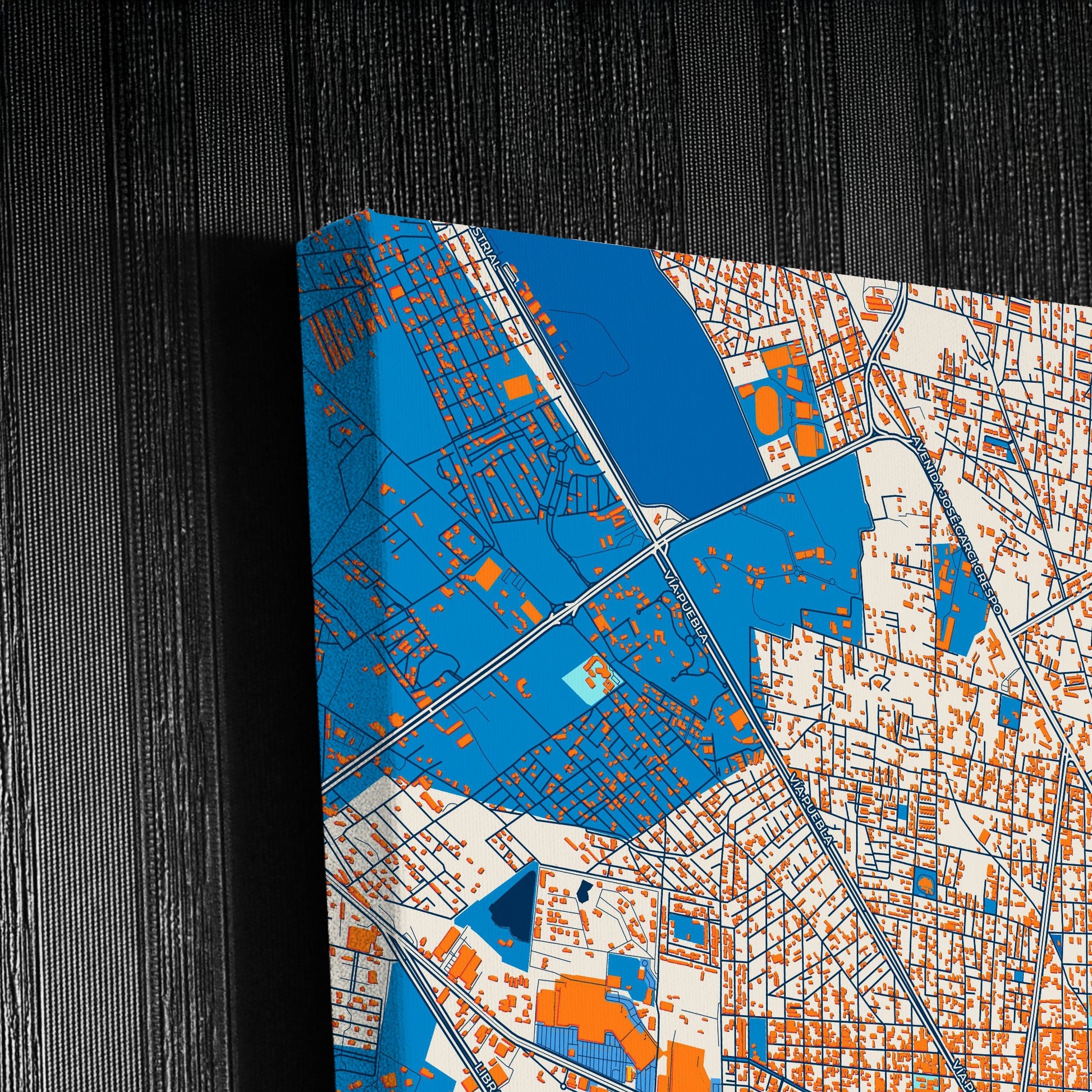 Tehuacán Mexico Colorful City Map Canvas Print Detail