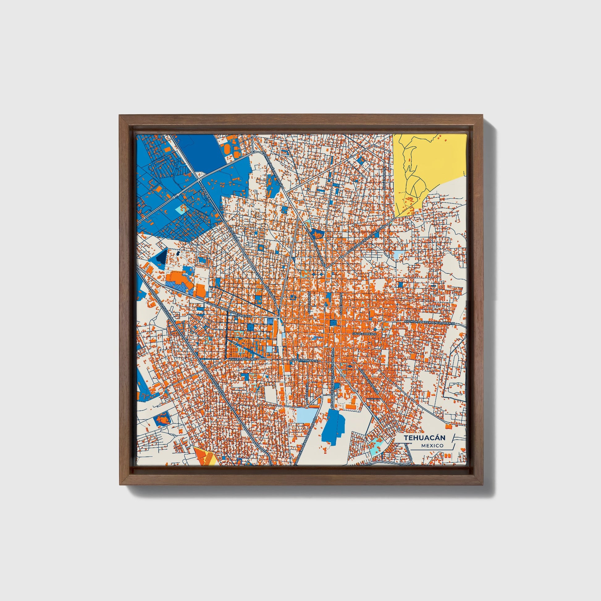 Tehuacán Mexico Colorful City Map Canvas Print • Dark Wooden Framed