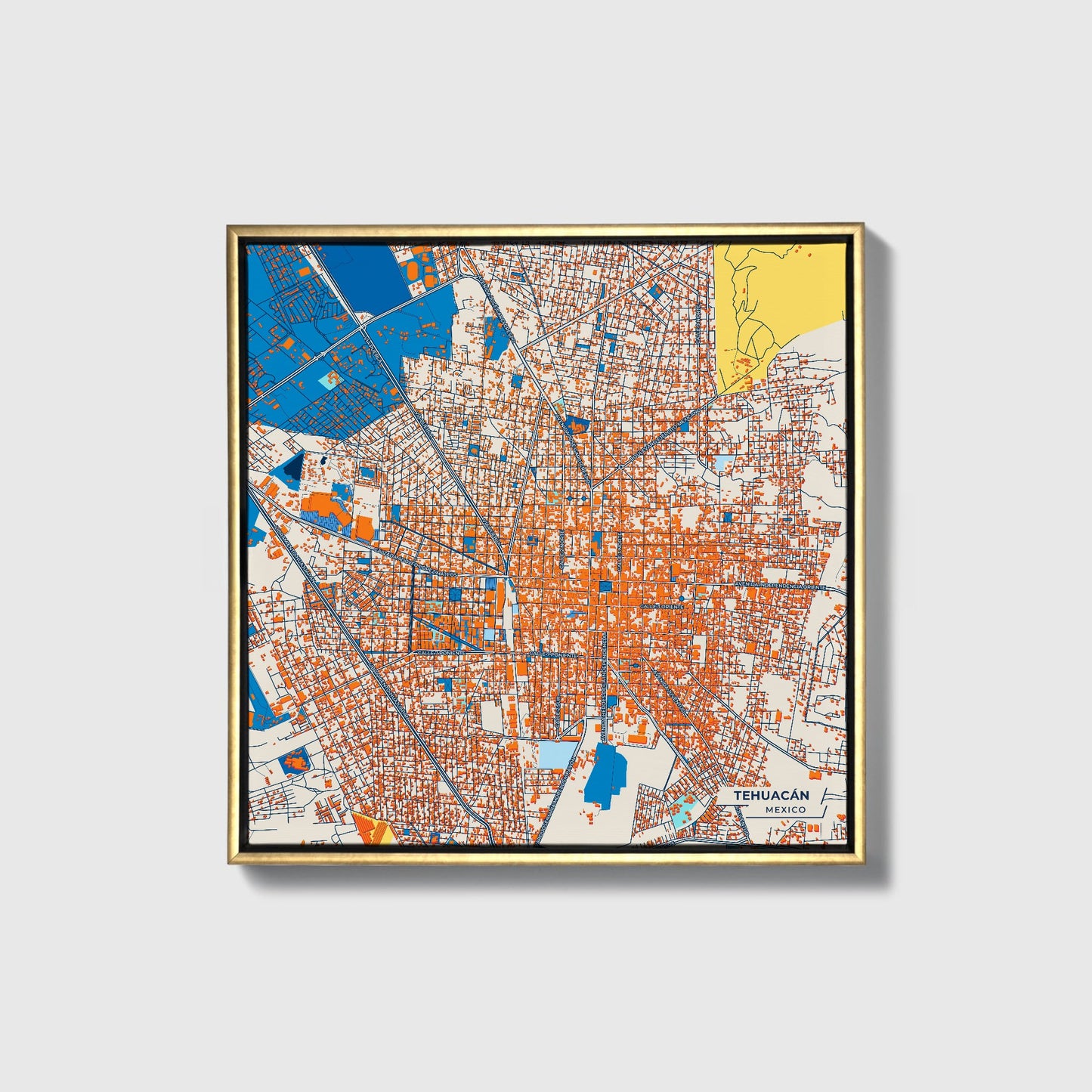 Tehuacán Mexico Colorful City Map Canvas Print • Gold Framed