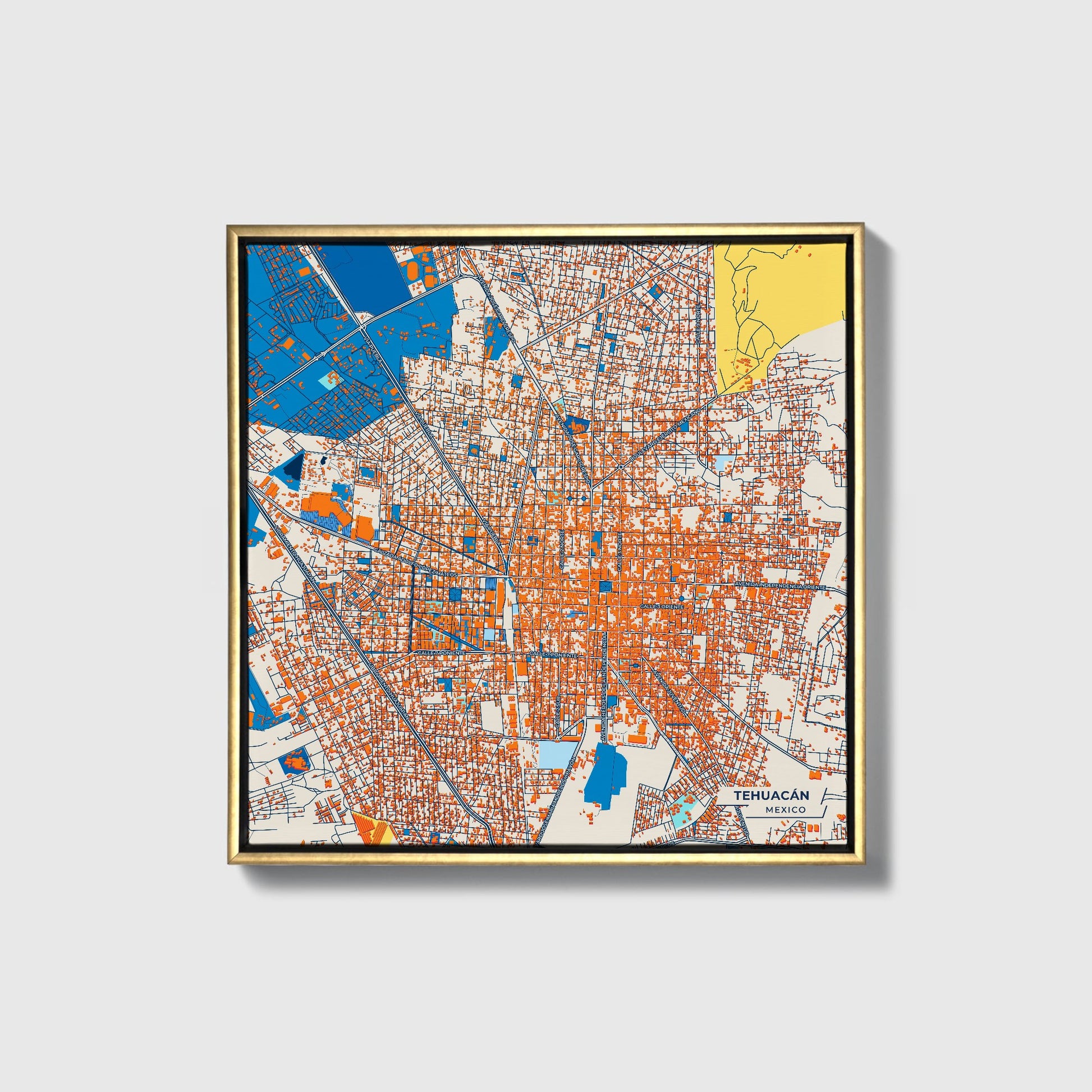 Tehuacán Mexico Colorful City Map Canvas Print • Gold Framed
