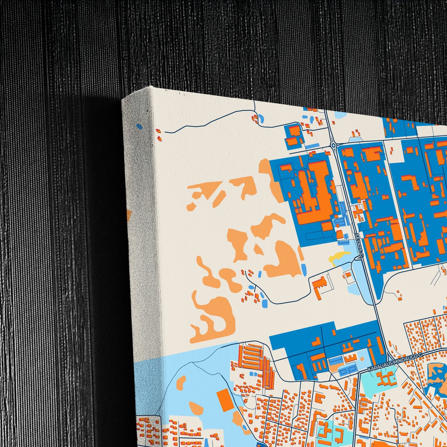 Telšiai Lithuania Colorful City Map Canvas Print Detail