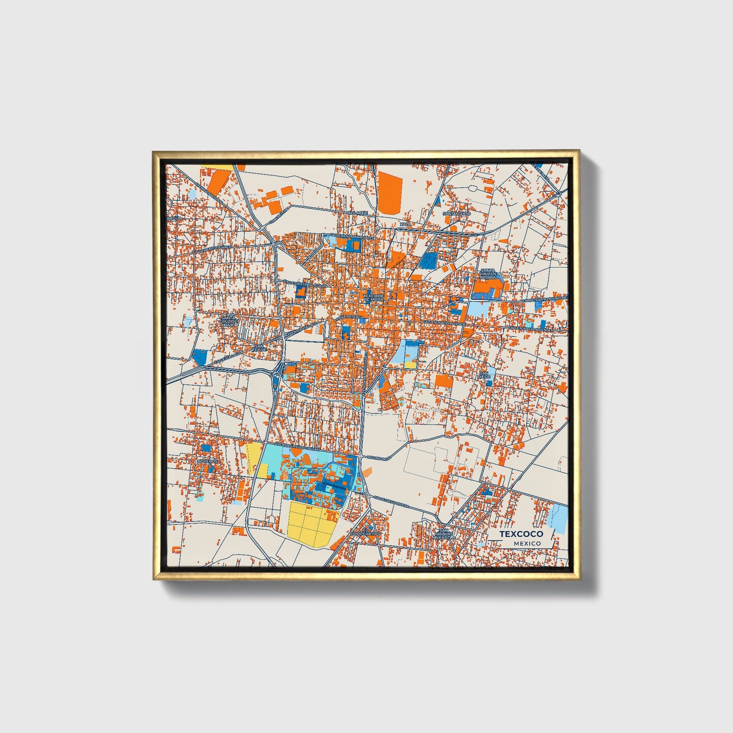 Texcoco Mexico Colorful City Map Canvas Print • Gold Framed
