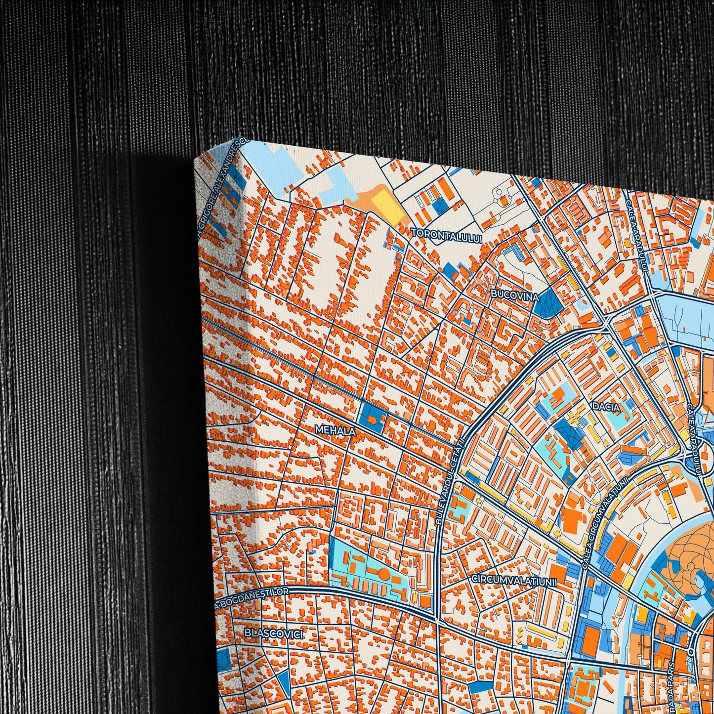 Timișoara Romania Colorful City Map Canvas Print Detail