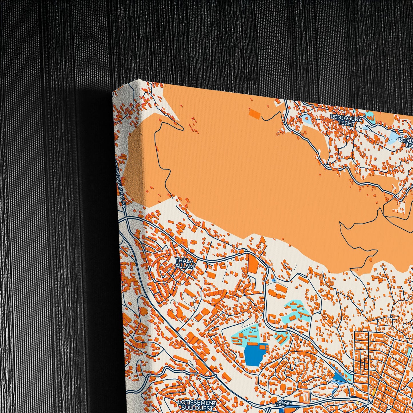 Tizi Ouzou Algeria Colorful City Map Canvas Print Detail