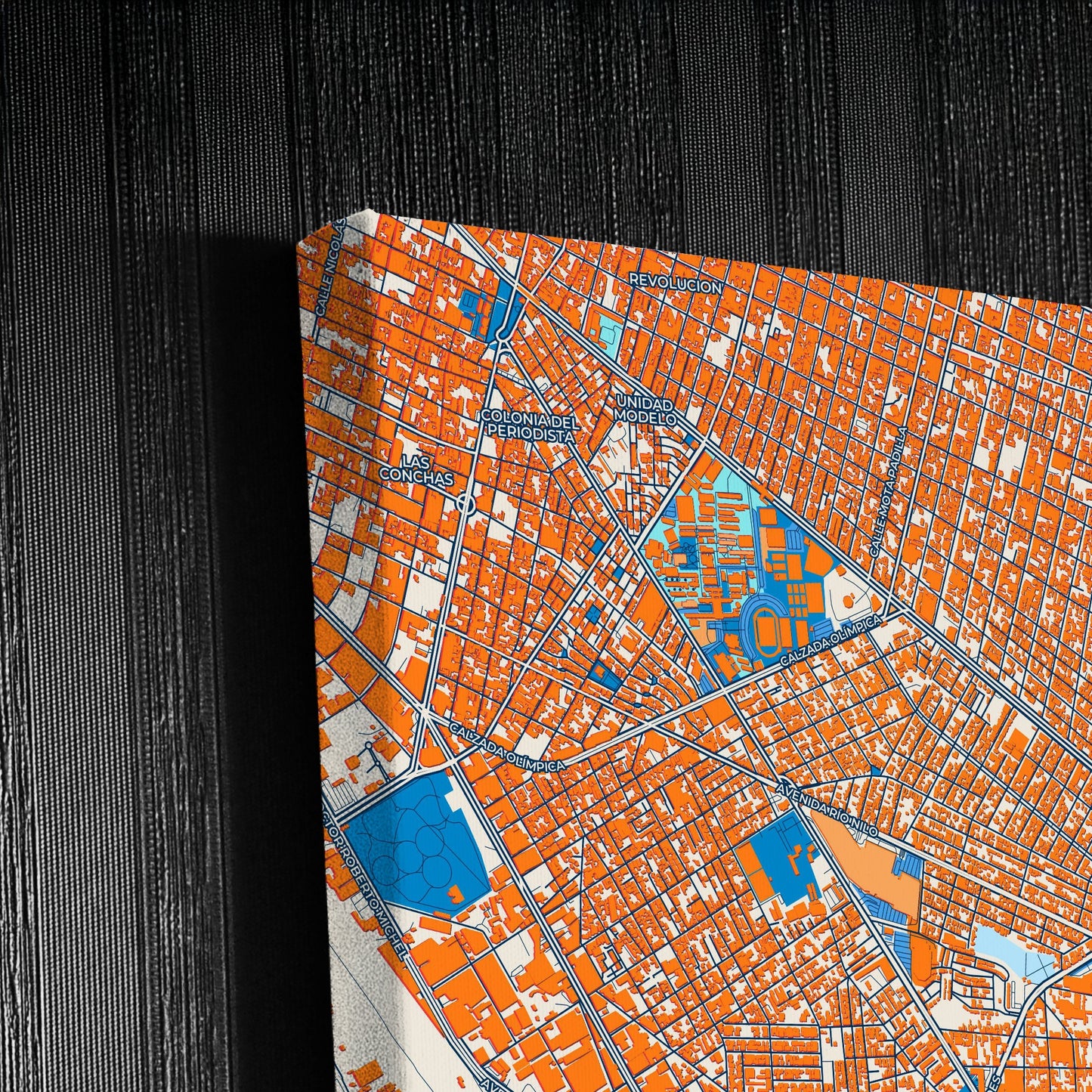 Tlaquepaque Mexico Colorful City Map Canvas Print Detail