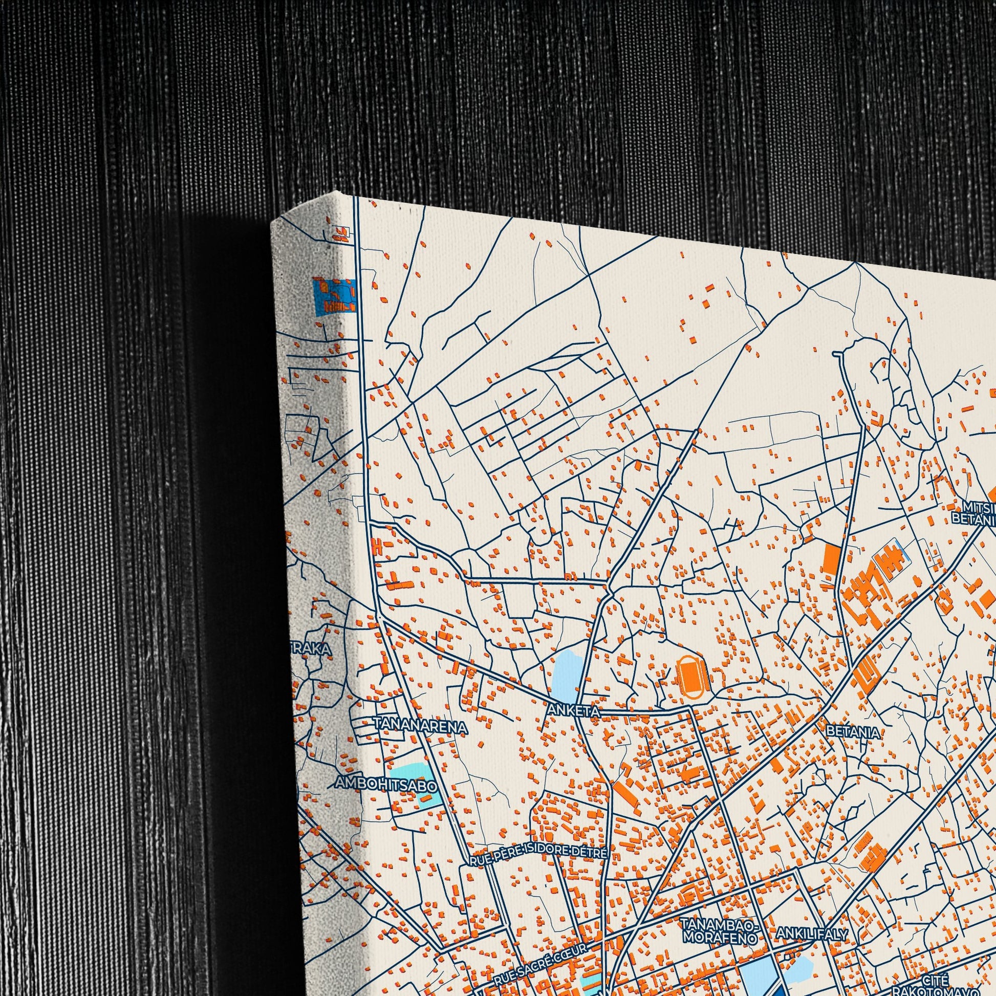 Toliara Madagascar Colorful City Map Canvas Print Detail