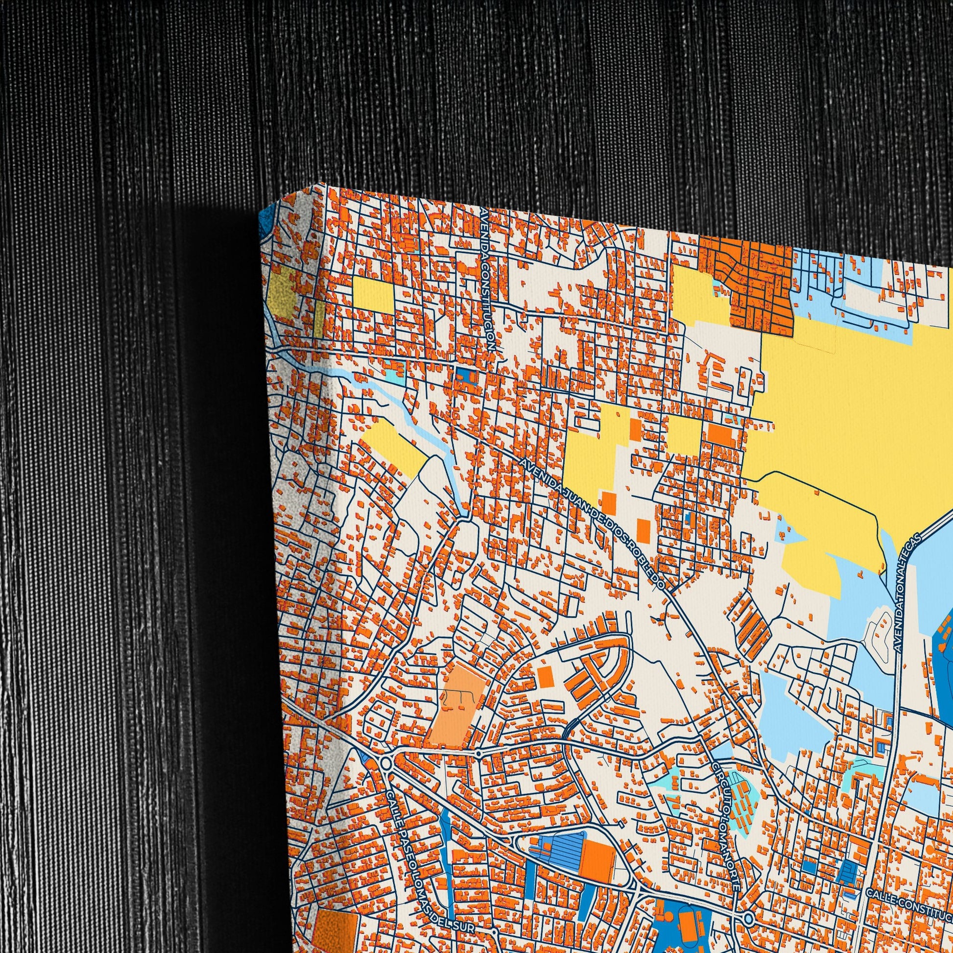 Tonalá Mexico Colorful City Map Canvas Print Detail