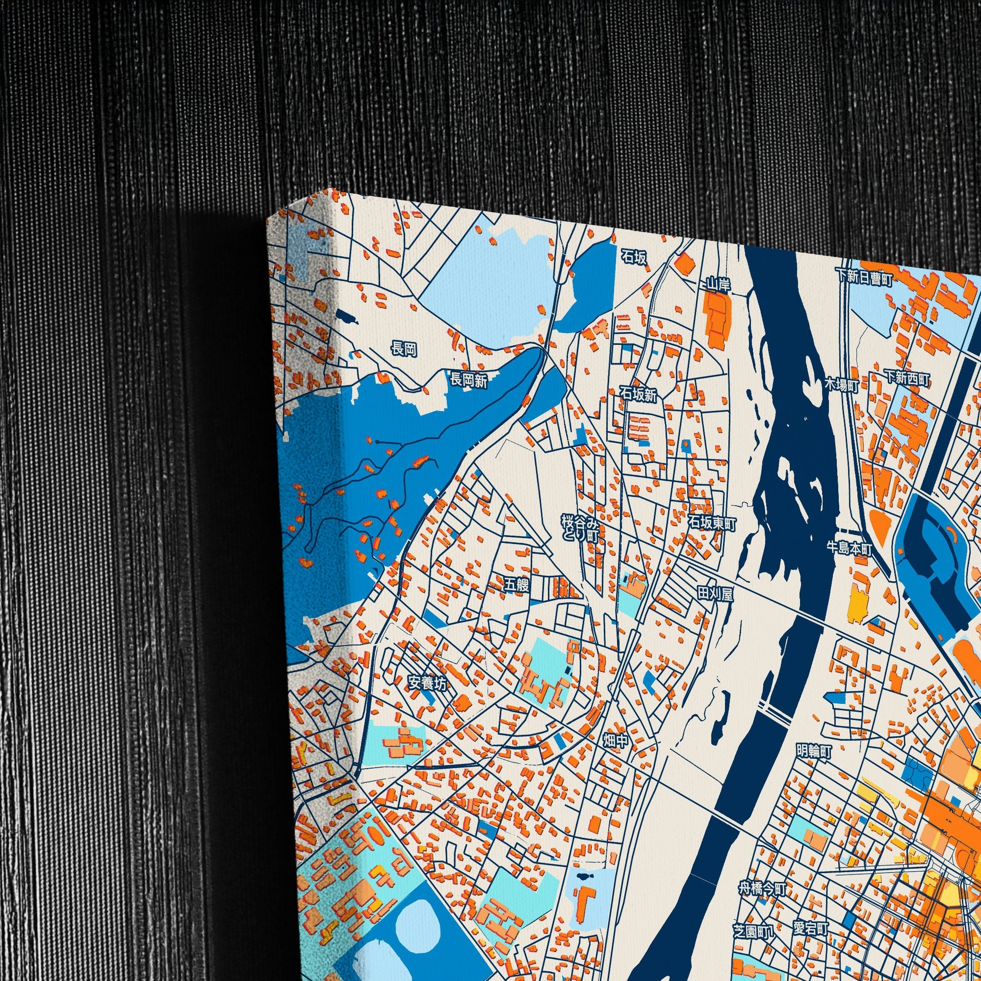Toyama Japan Colorful City Map Canvas Print Detail