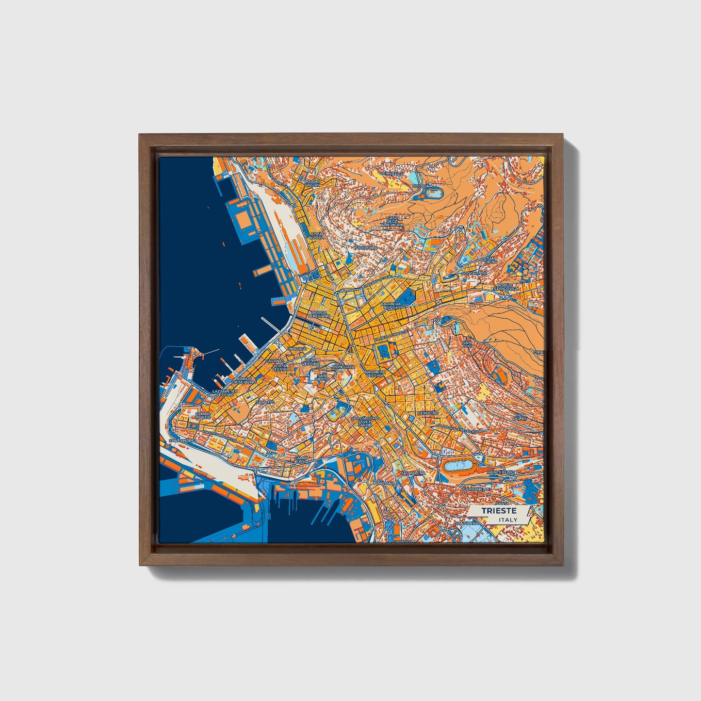 Trieste  Italy Colorful City Map Canvas Print • Dark Wooden Framed