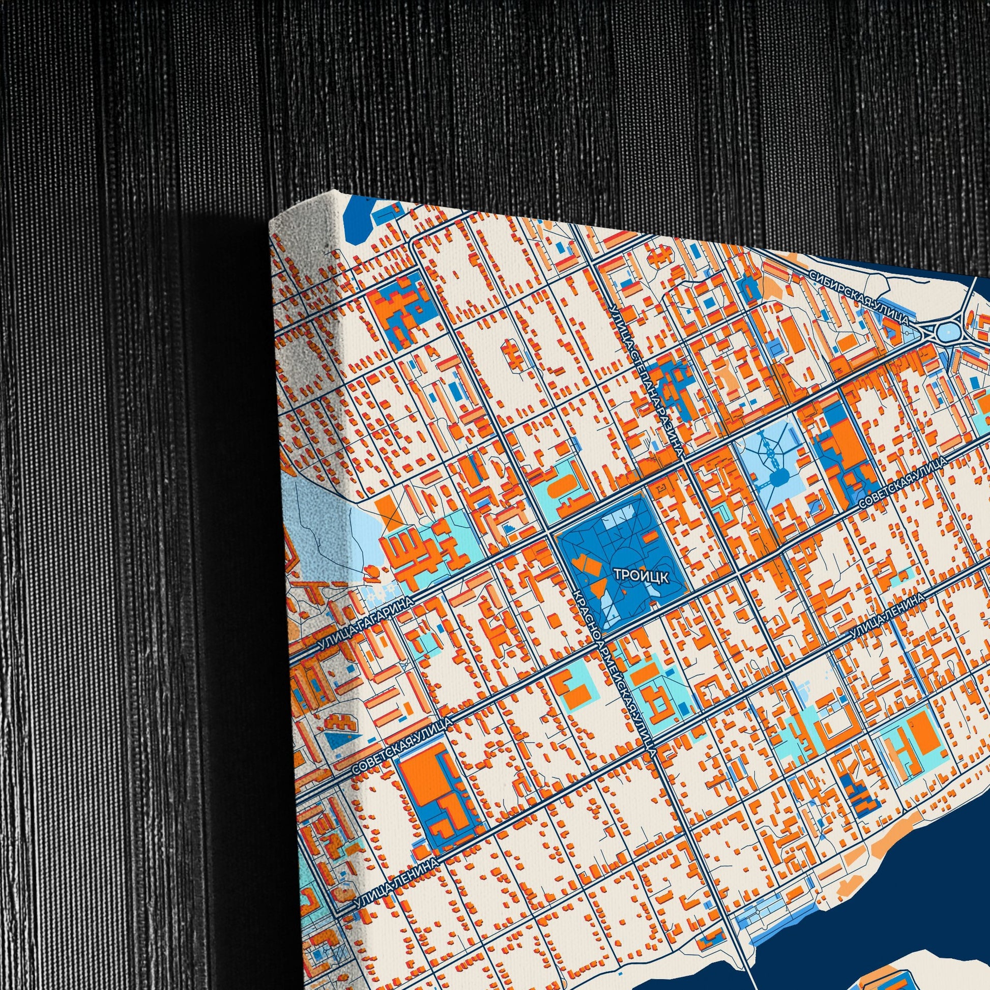Троицкий Russia Colorful City Map Canvas Print Detail