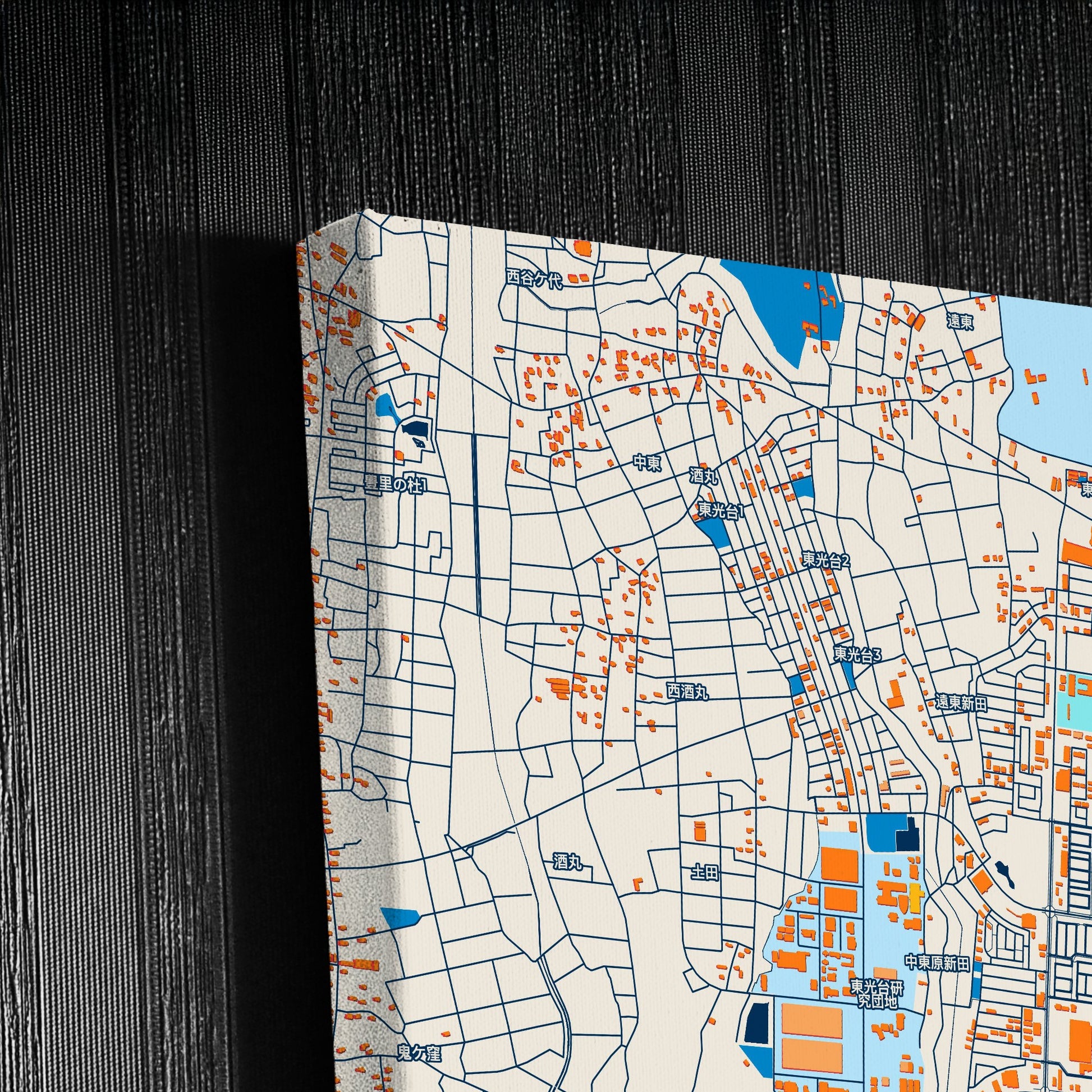 Tsukuba Japan Colorful City Map Canvas Print Detail