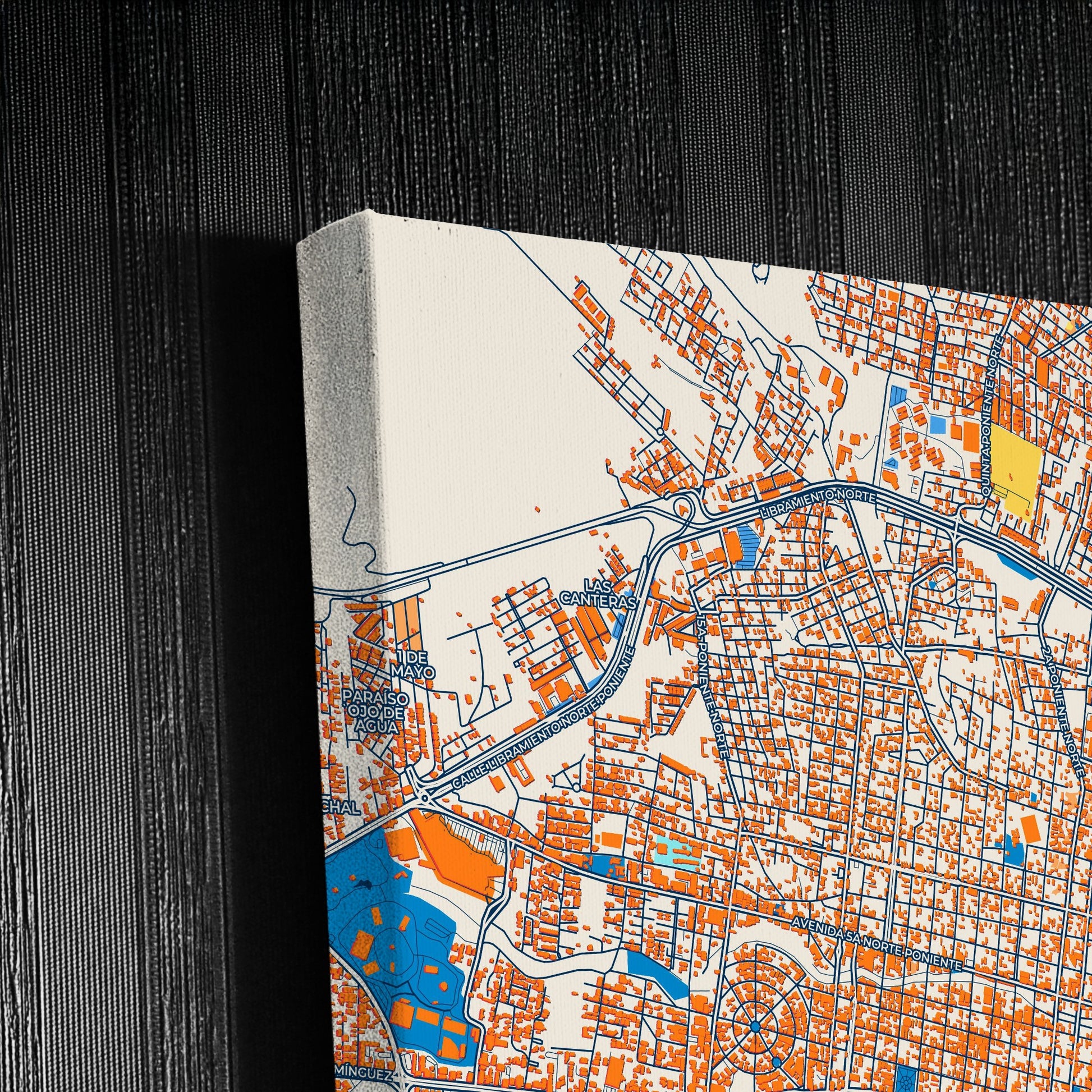 Tuxtla Gutiérrez Mexico Colorful City Map Canvas Print Detail