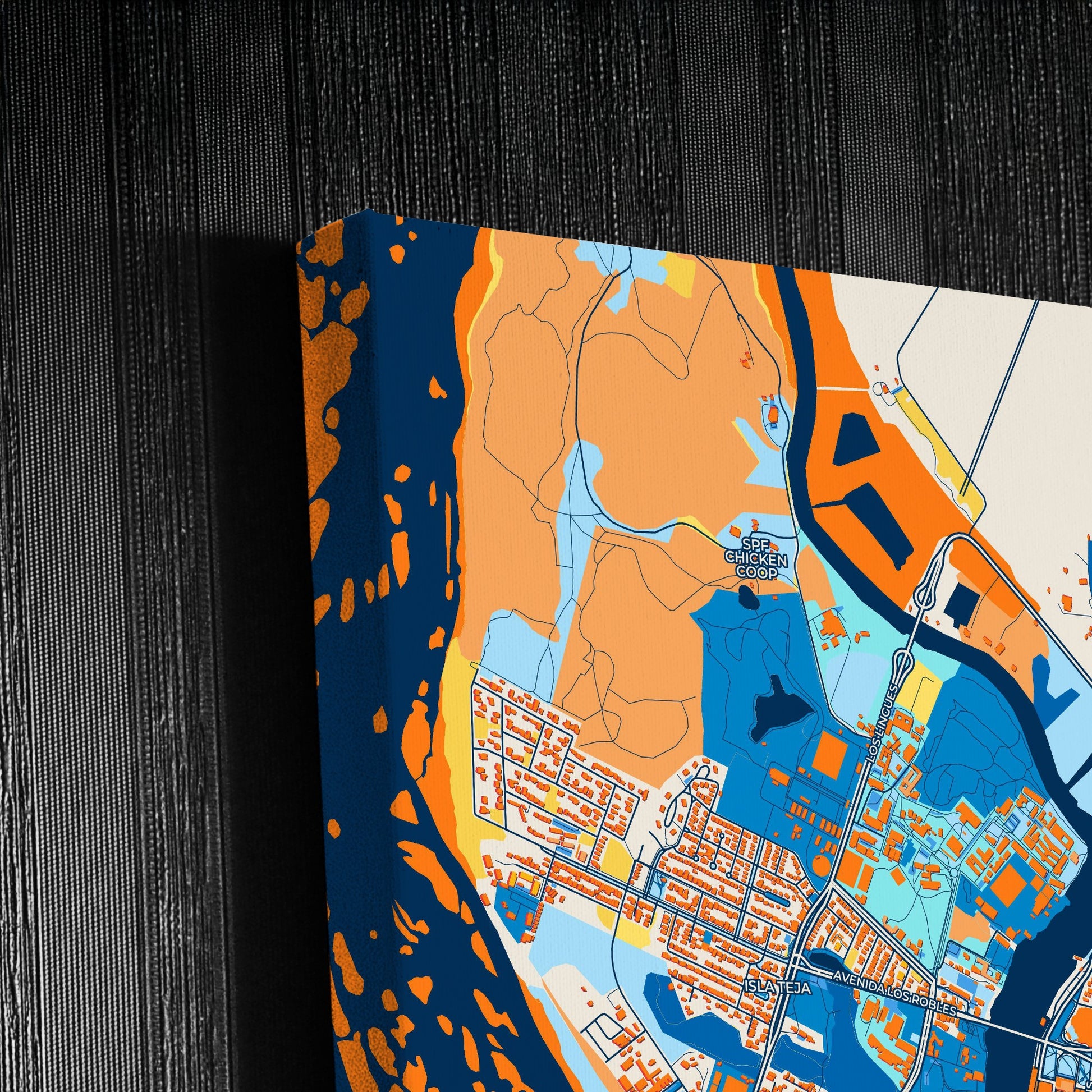 Valdivia Chile Colorful City Map Canvas Print Detail