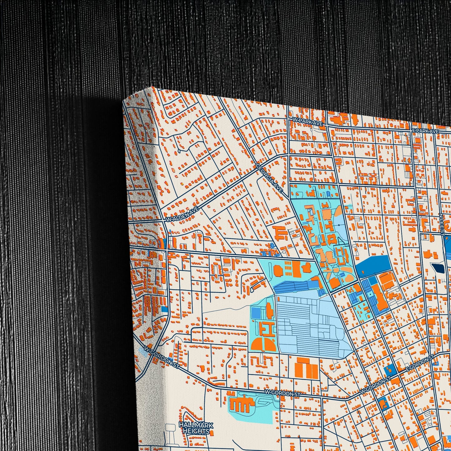 Valdosta Georgia Colorful City Map Canvas Print Detail