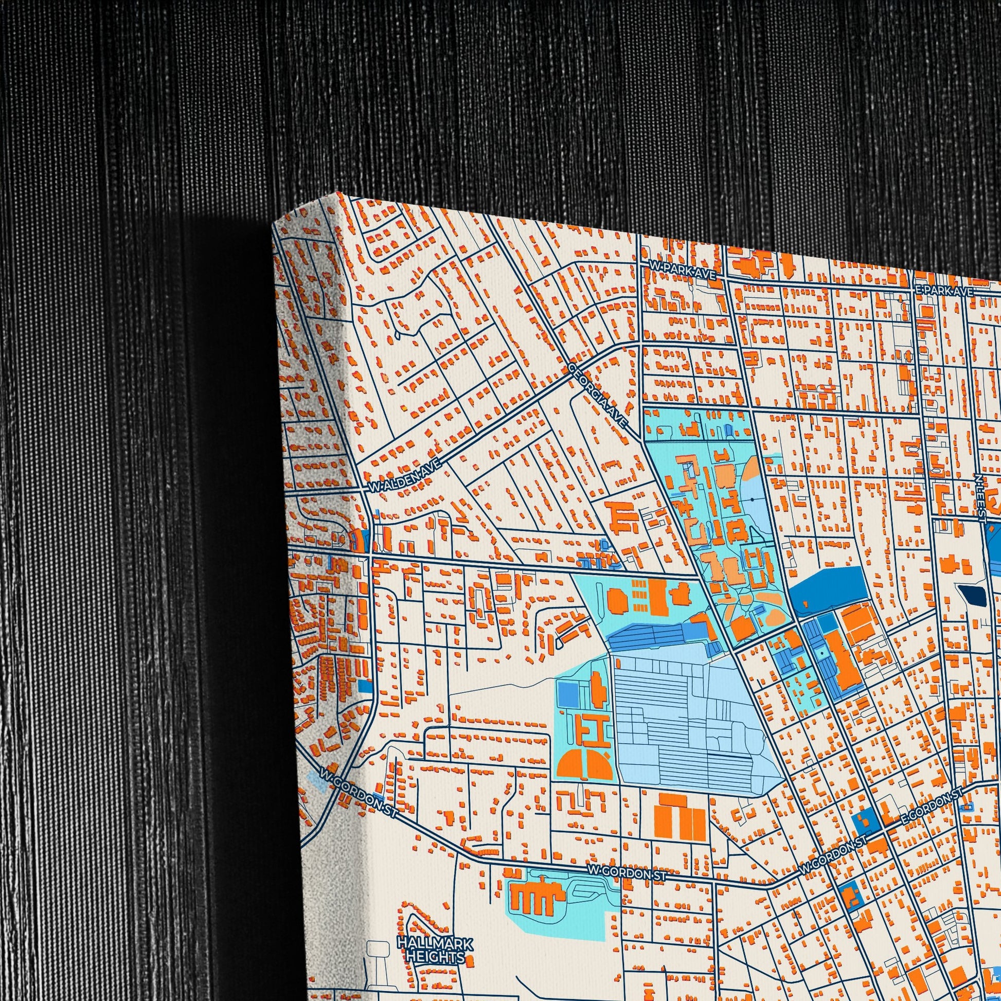 Valdosta Georgia Colorful City Map Canvas Print Detail