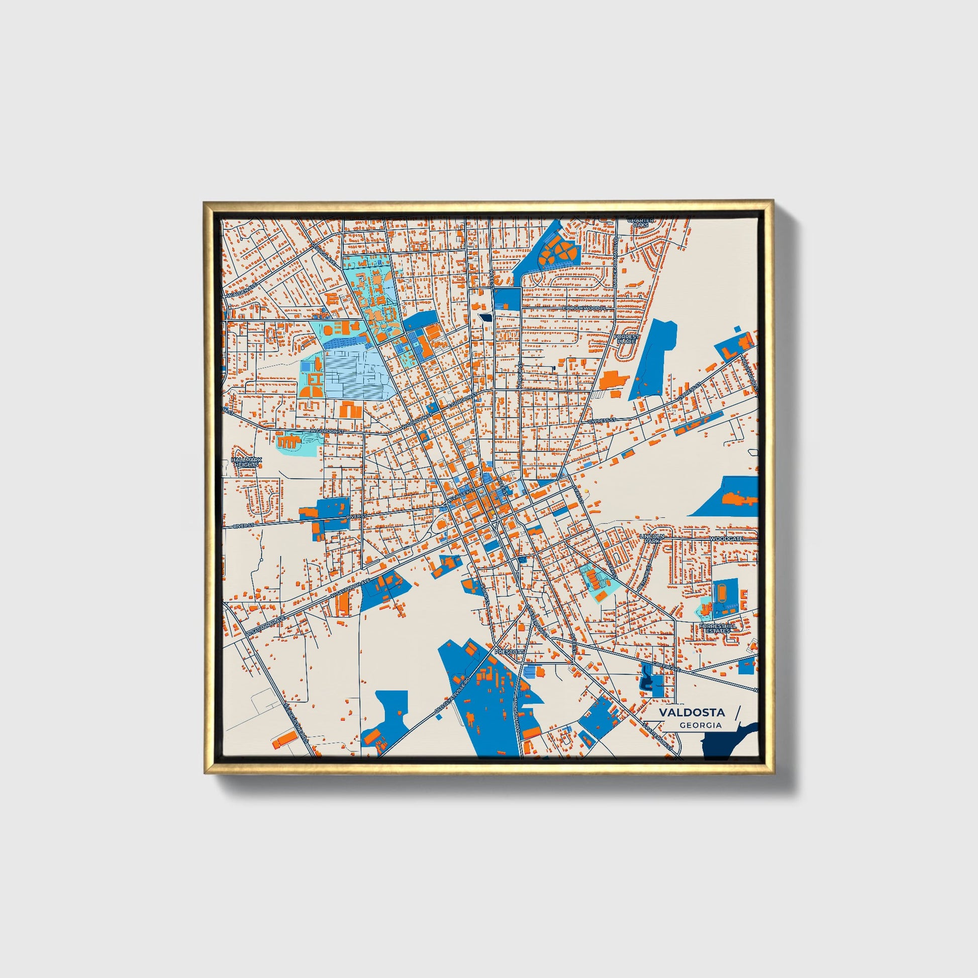 Valdosta Georgia Colorful City Map Canvas Print • Gold Framed