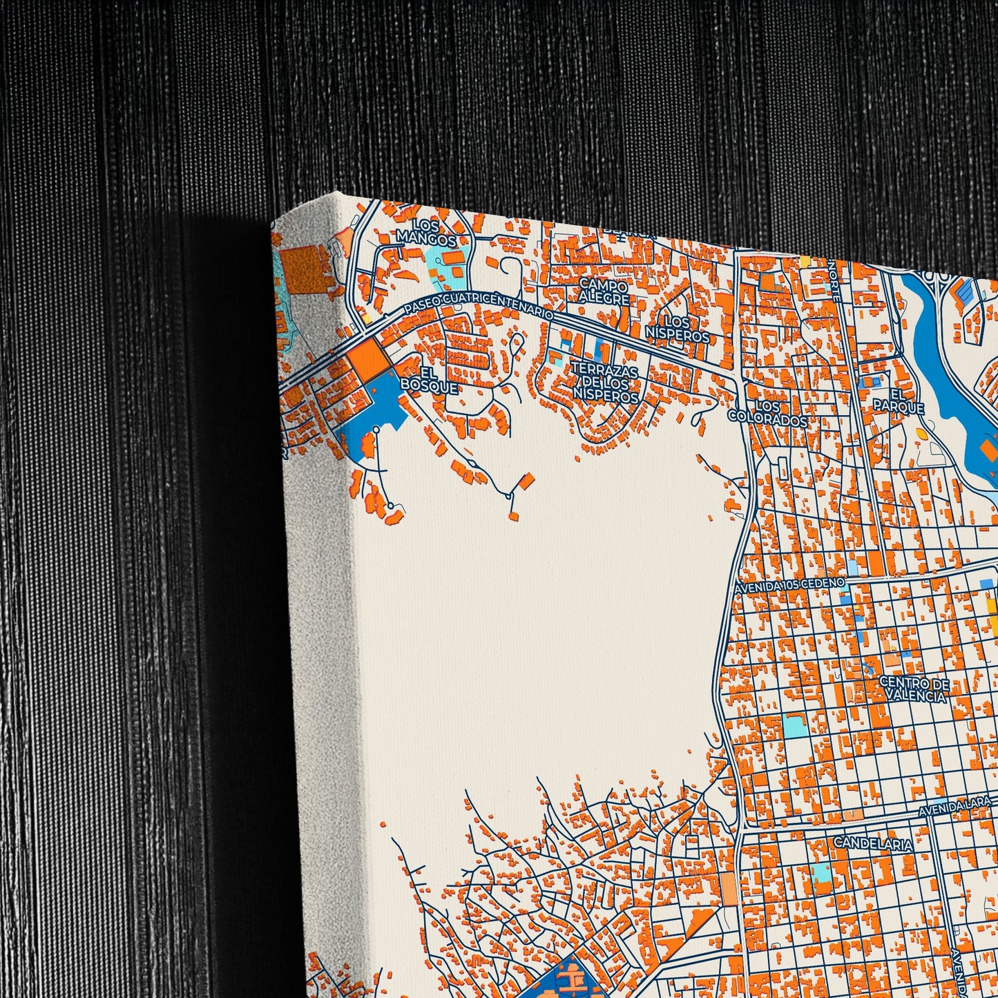Valencia Venezuela Colorful City Map Canvas Print Detail