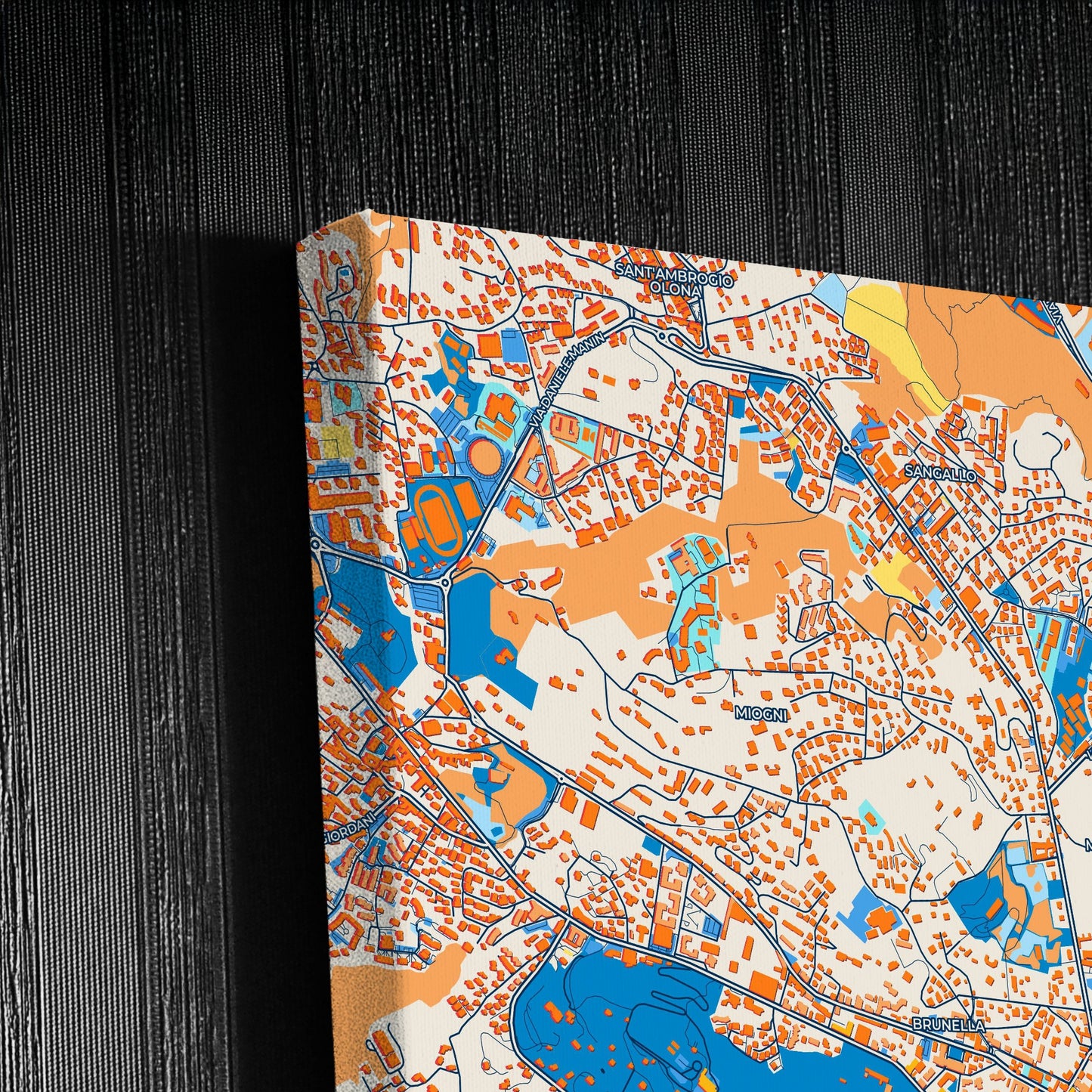 Varese Italy Colorful City Map Canvas Print Detail