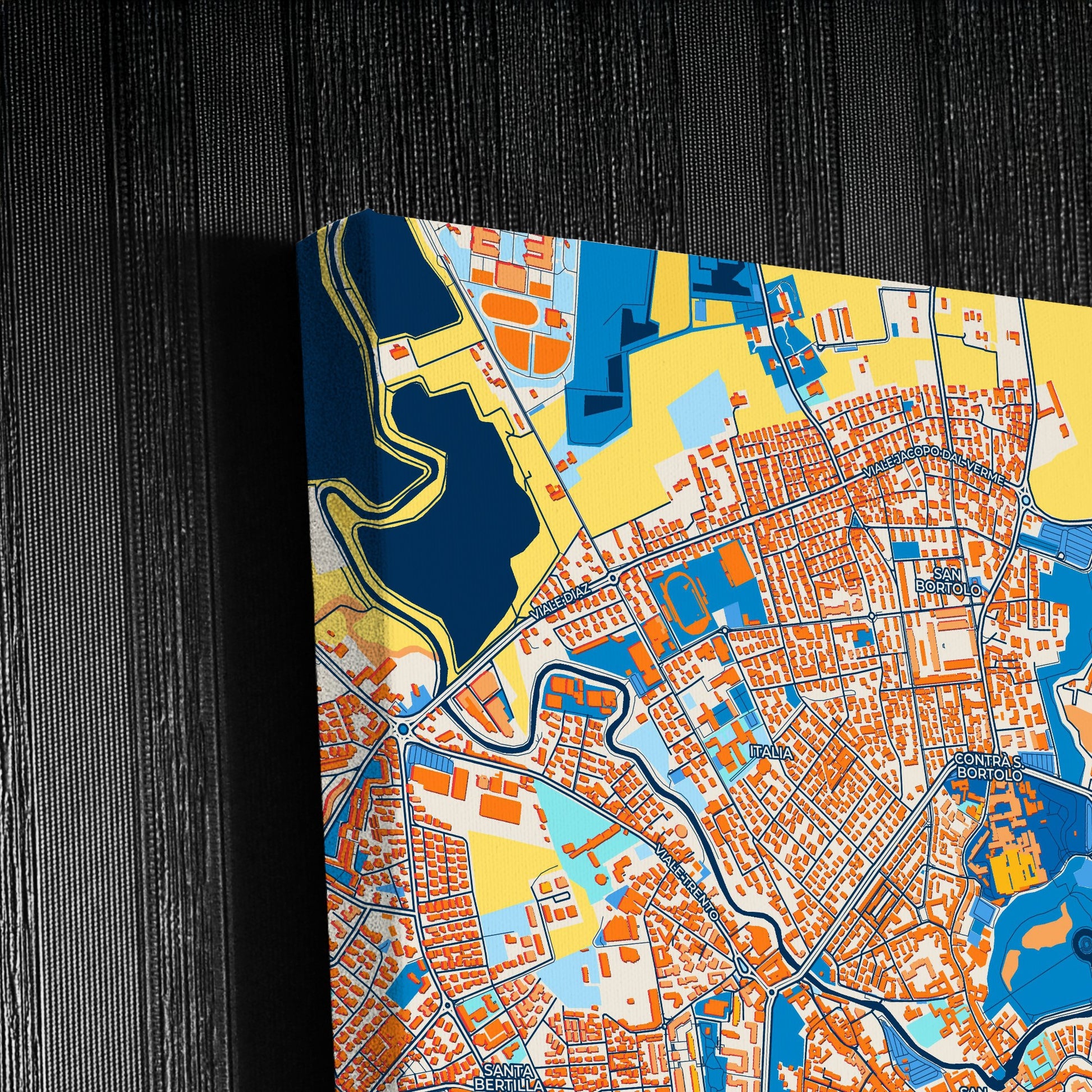 Vicenza Italy Colorful City Map Canvas Print Detail