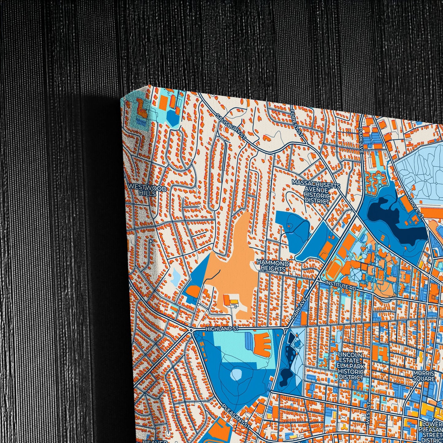 Worcester Massachusetts Colorful City Map Canvas Print Detail