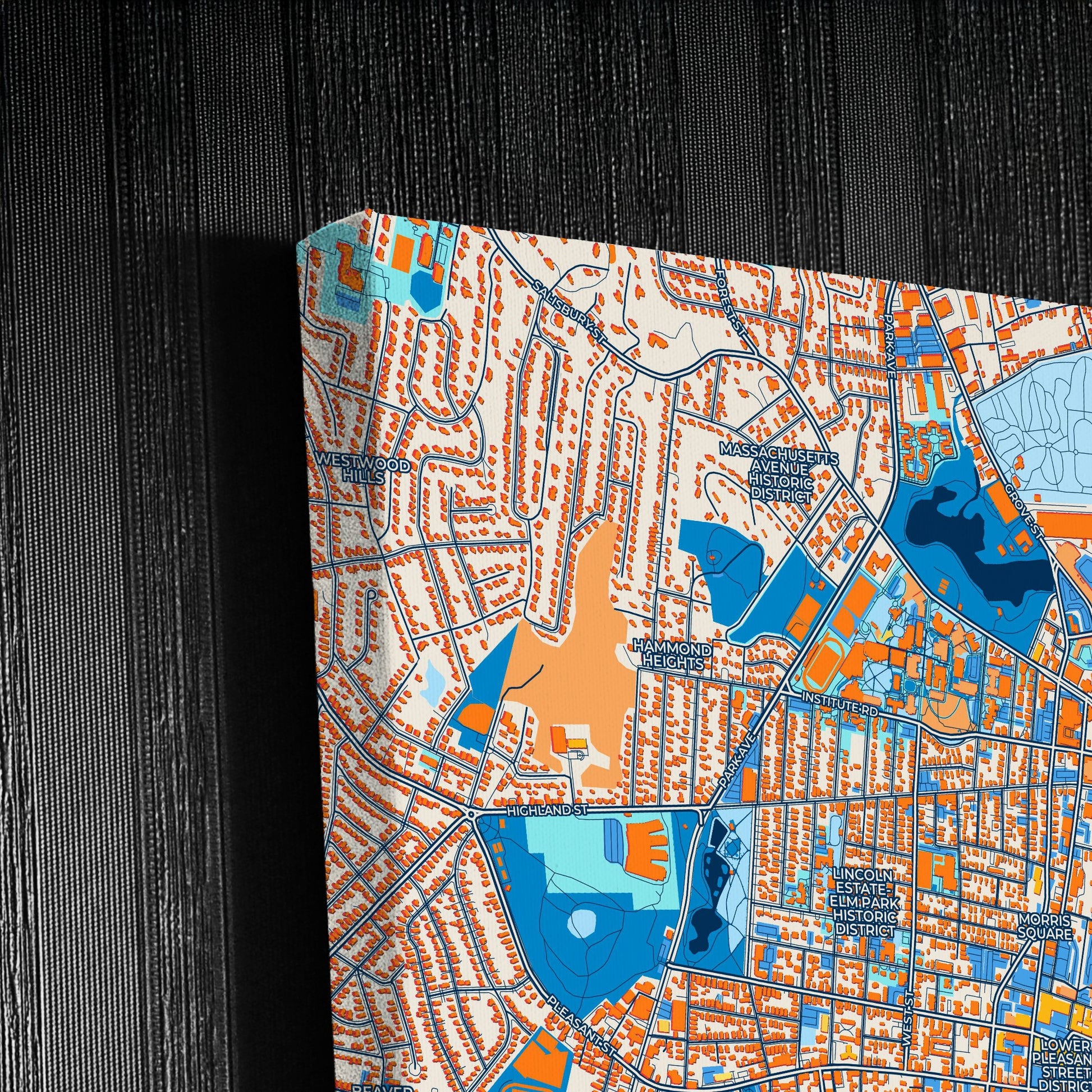 Worcester Massachusetts Colorful City Map Canvas Print Detail