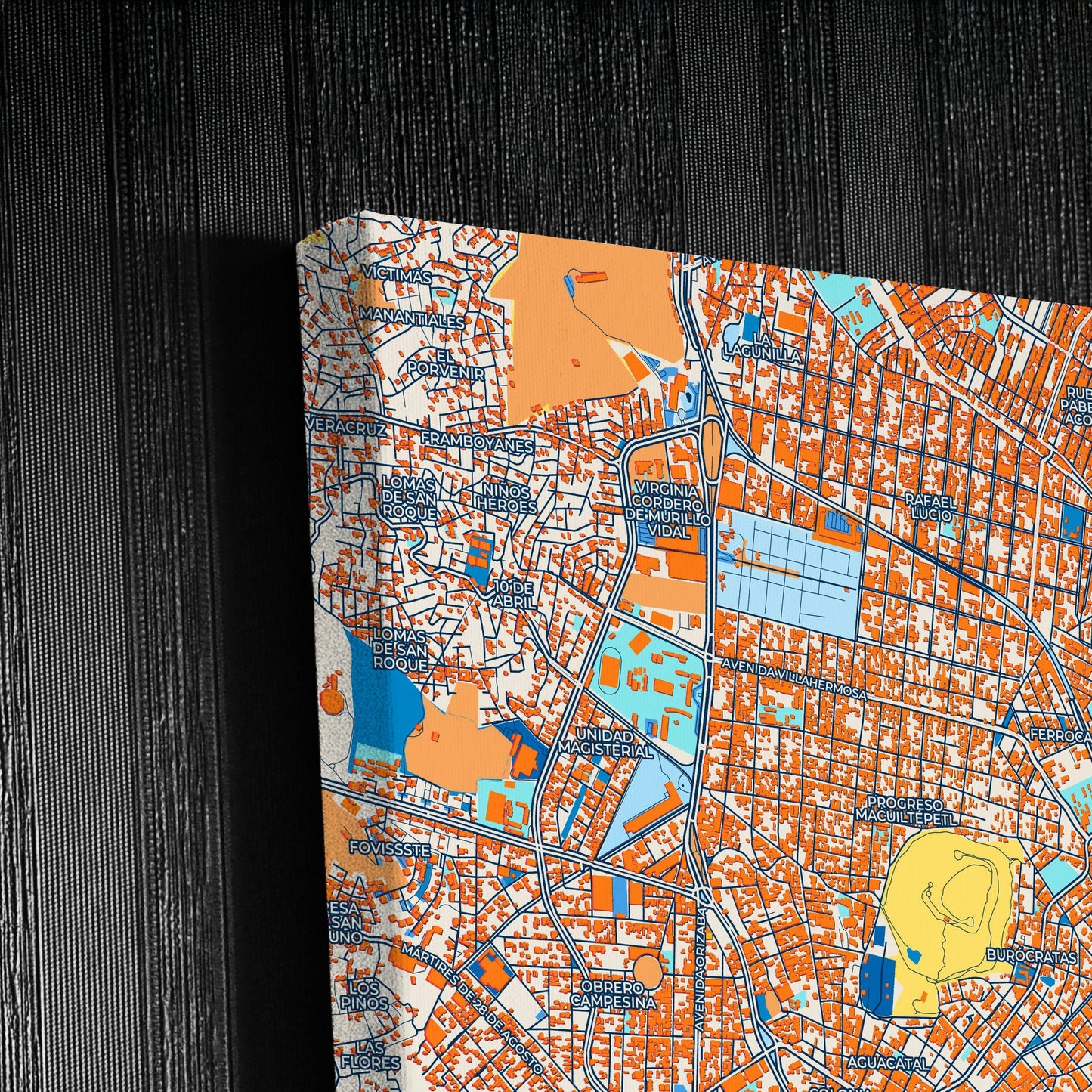Xalapa Mexico Colorful City Map Canvas Print Detail