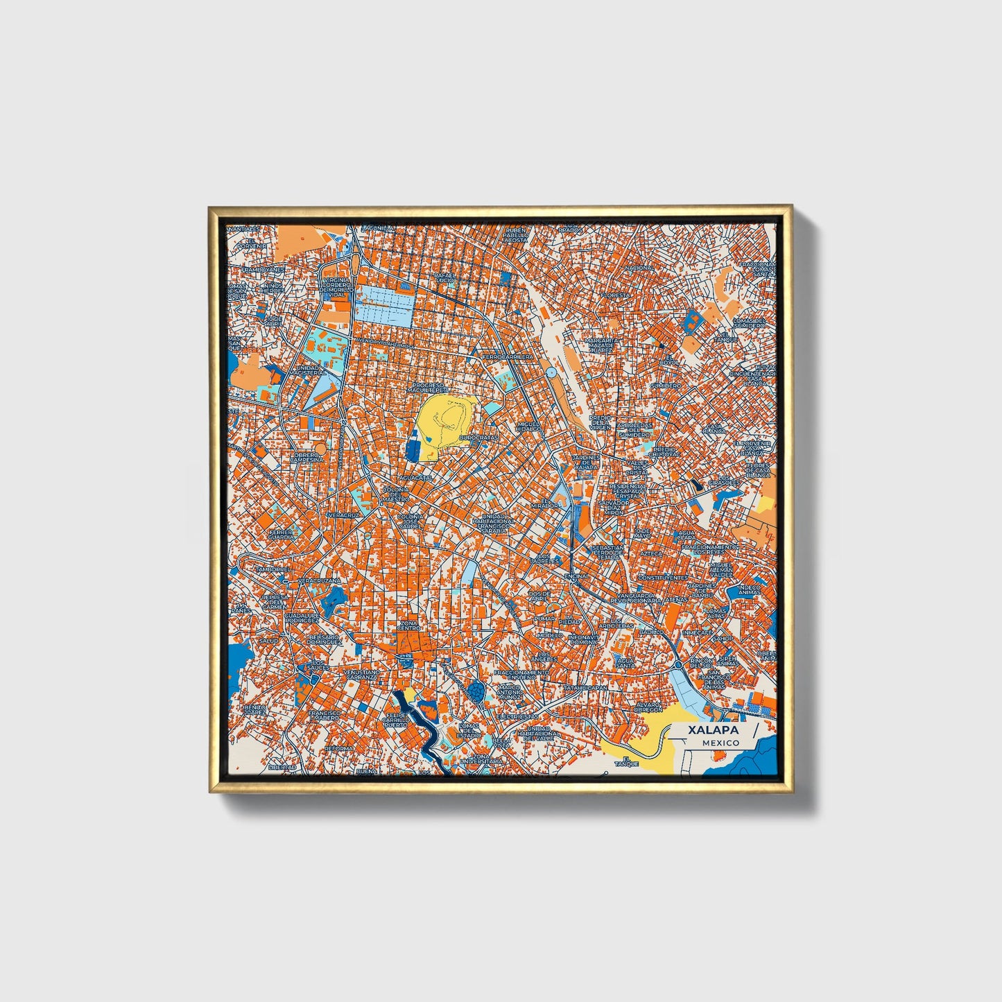 Xalapa Mexico Colorful City Map Canvas Print • Gold Framed