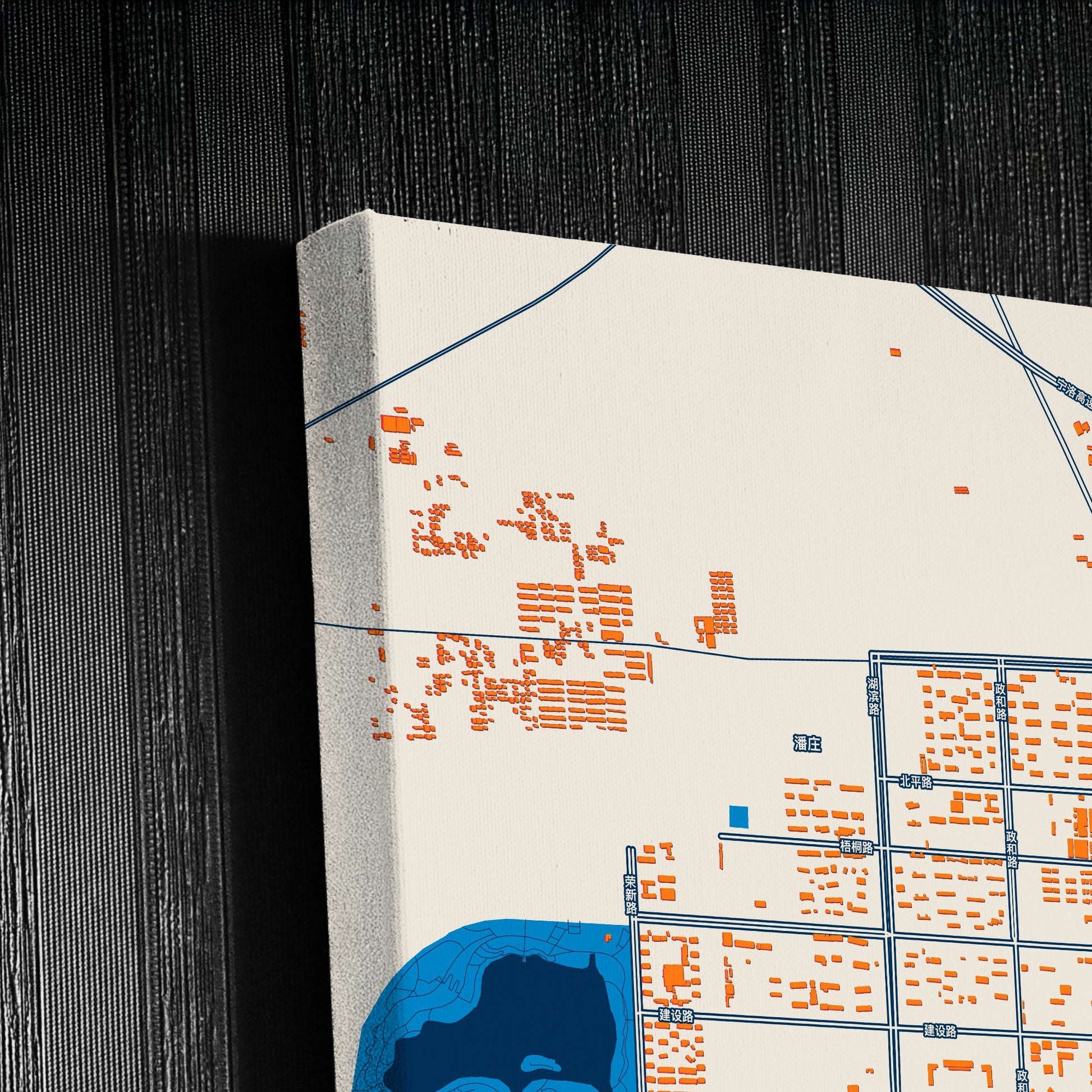 Xiangcheng China Colorful City Map Canvas Print Detail