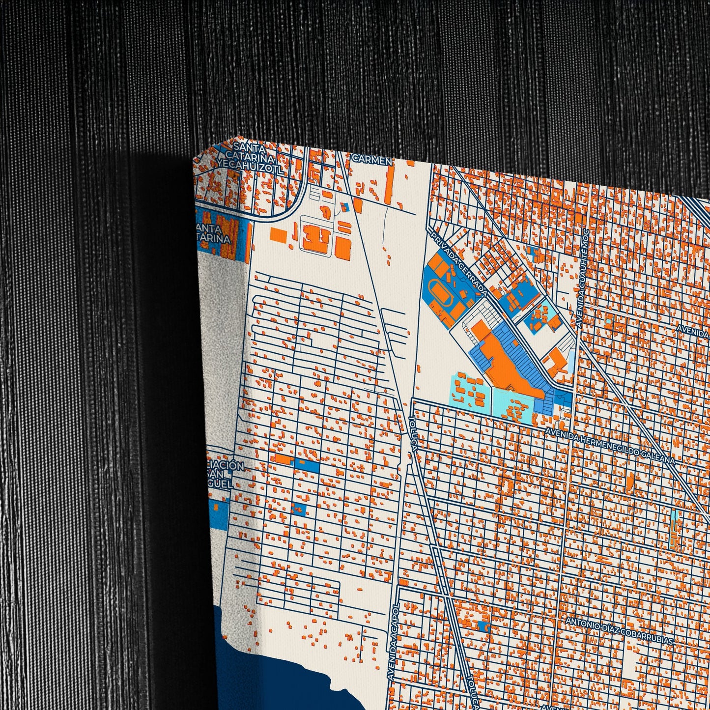 Xico Mexico Colorful City Map Canvas Print Detail