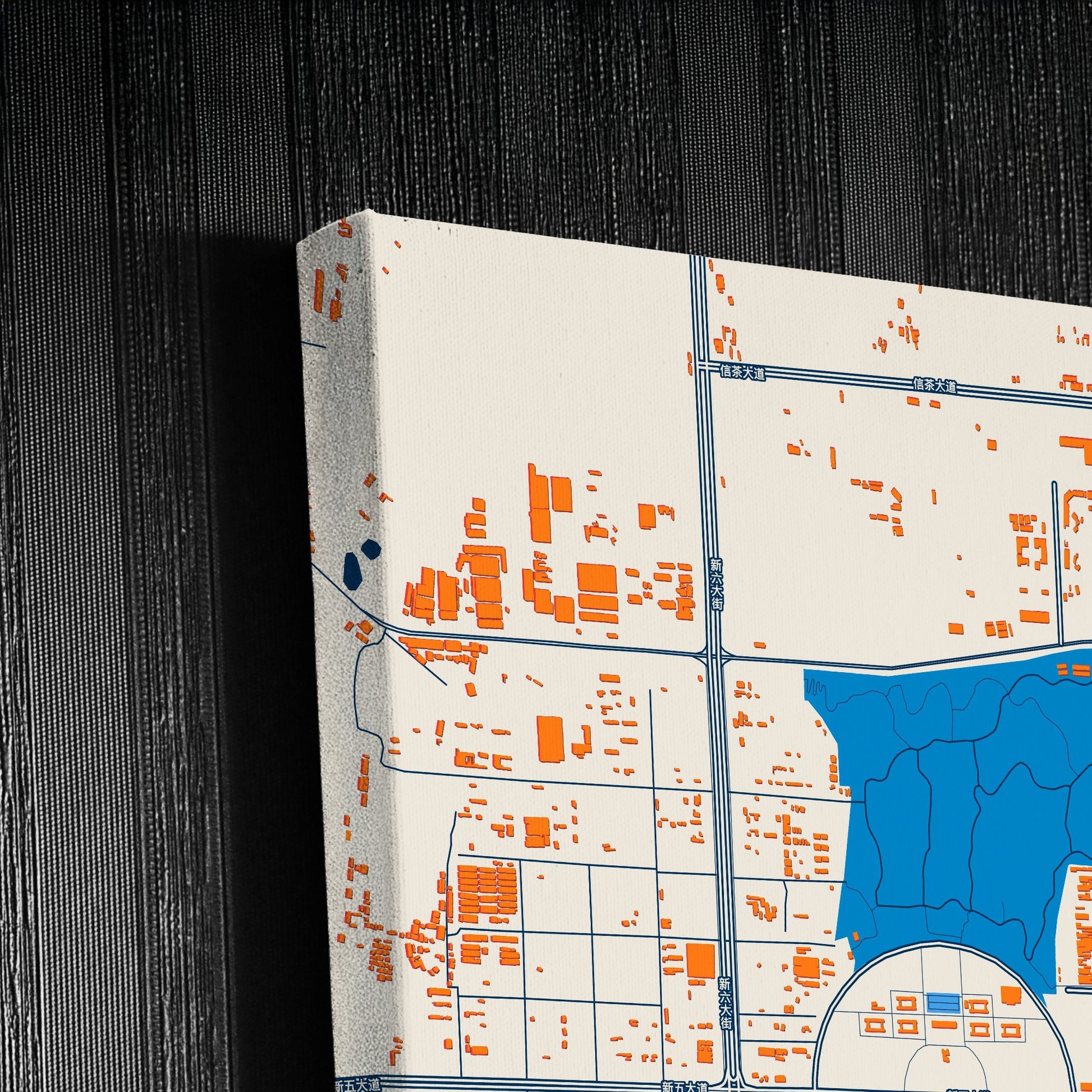 Xinyang China Colorful City Map Canvas Print Detail