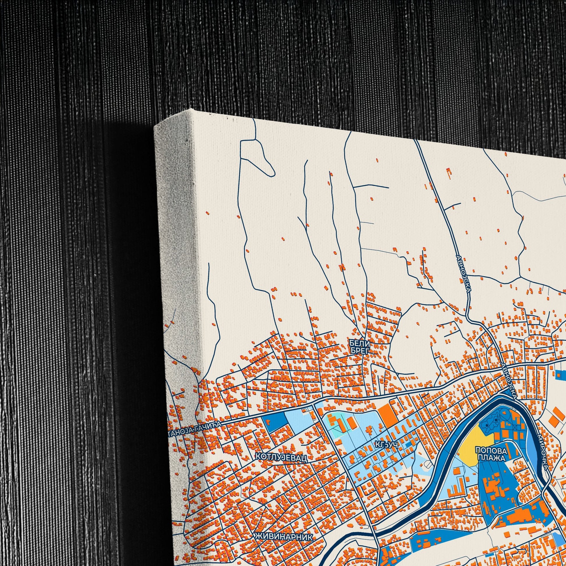 Зајечар Serbia Colorful City Map Canvas Print Detail