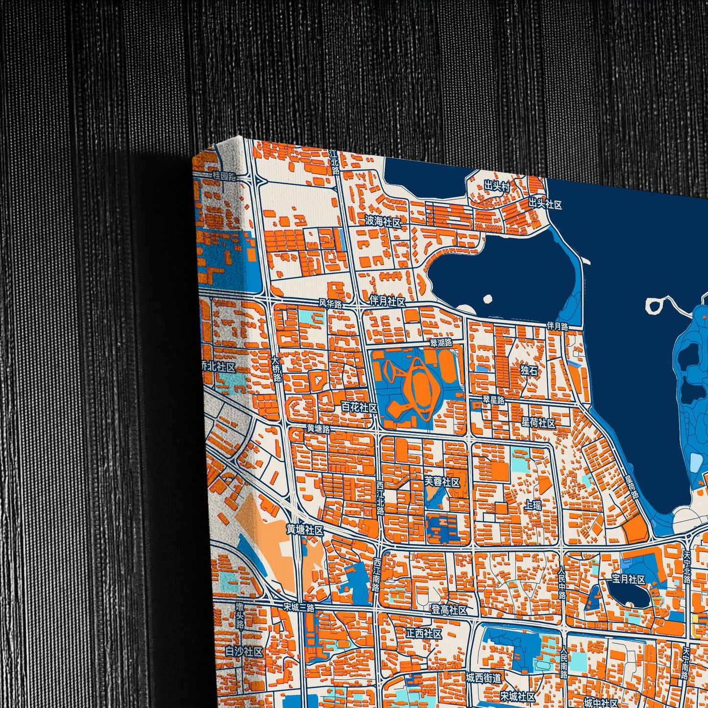 Zhaoqing China Colorful City Map Canvas Print Detail