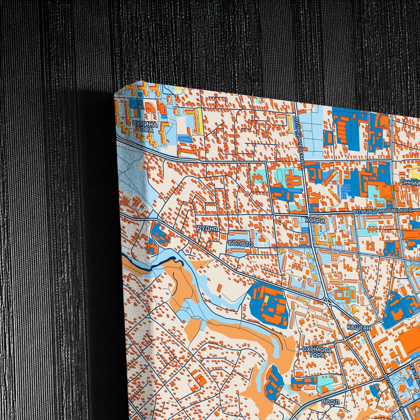 Житомир Ukraine Colorful City Map Canvas Print Detail