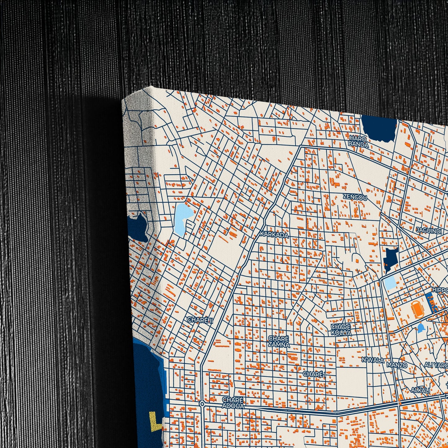 Zinder Niger Colorful City Map Canvas Print Detail