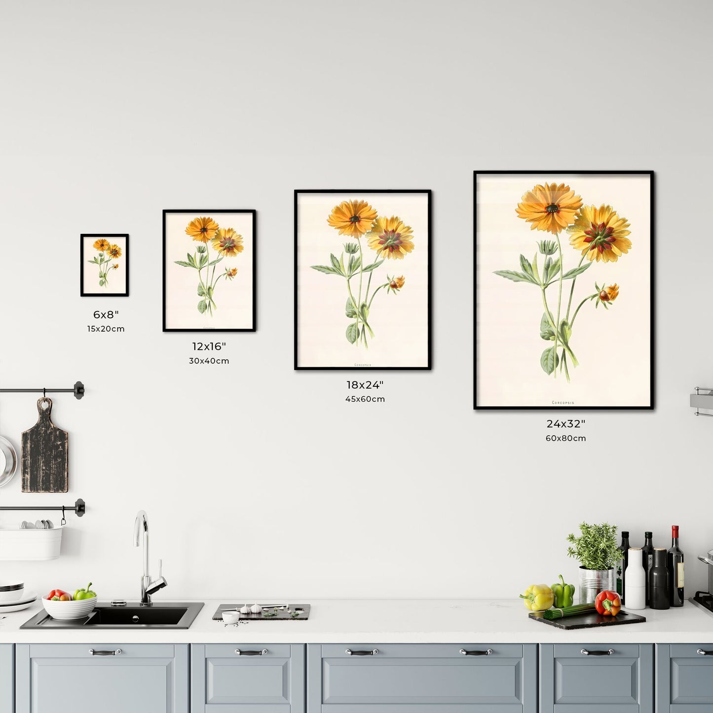 Coreopsis Botanical Print Size Chart