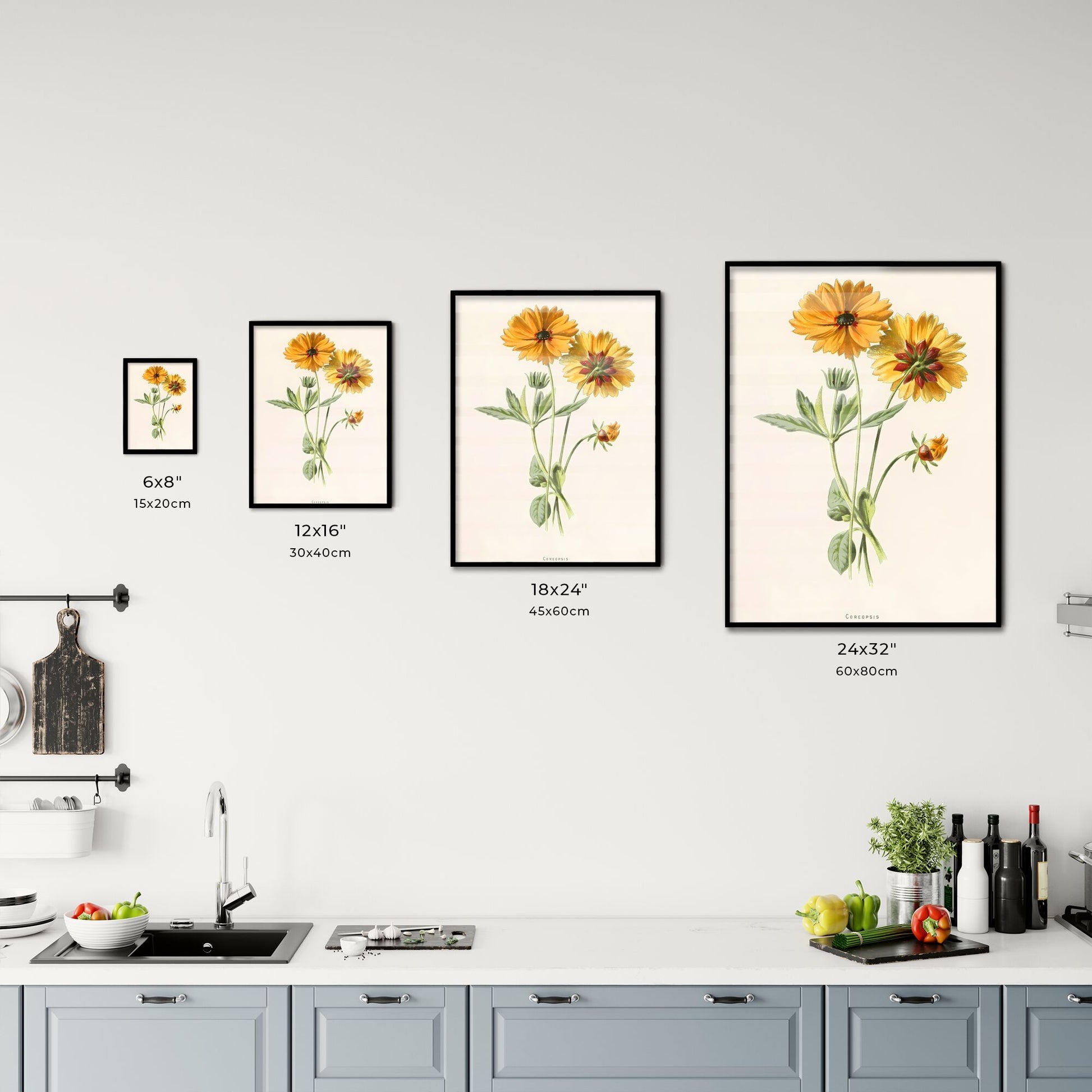 Coreopsis Botanical Print Size Chart