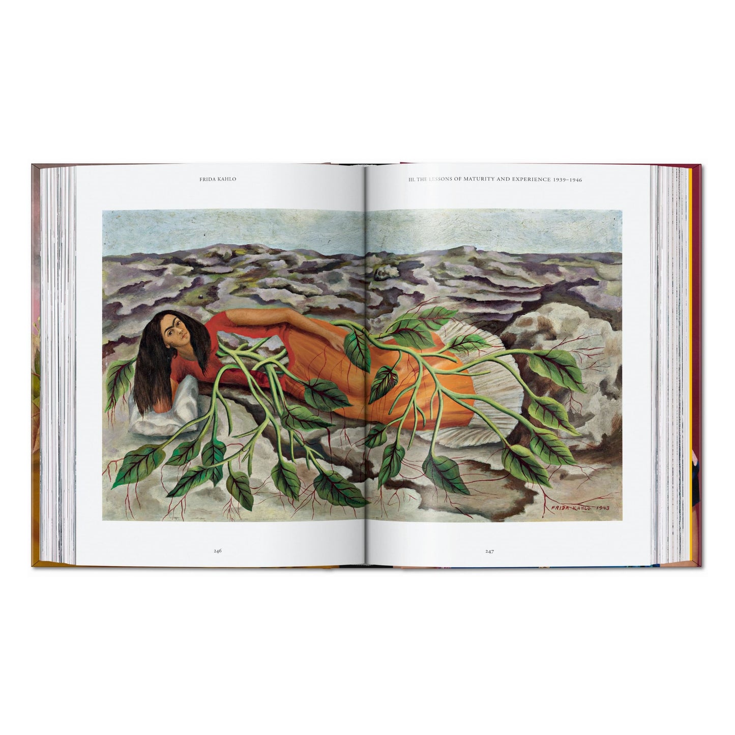 Frida Kahlo. 40th Ed. (English)