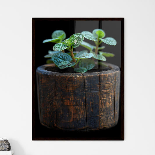 Vibrant Tattoo-Style Euro Coin Plant in Dark - Framed Art Print