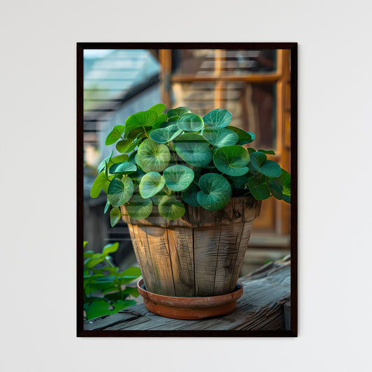 Euro Coin Plant ISO 100 Velvia Minimalist Animated GIF Tattoo-Inspired Attribution Potted Plant Green Leaves Vibrant Painting Art Framed Art