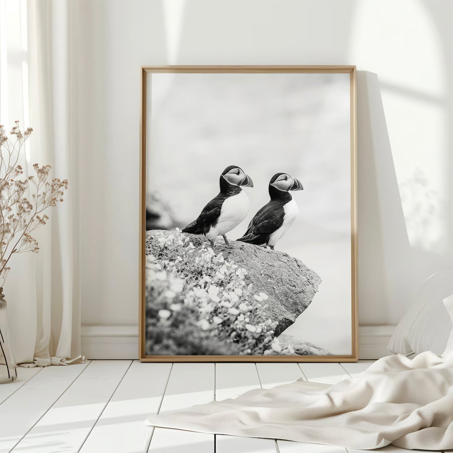 Black and White Puffins Print – Wildlife Photography Wall Art