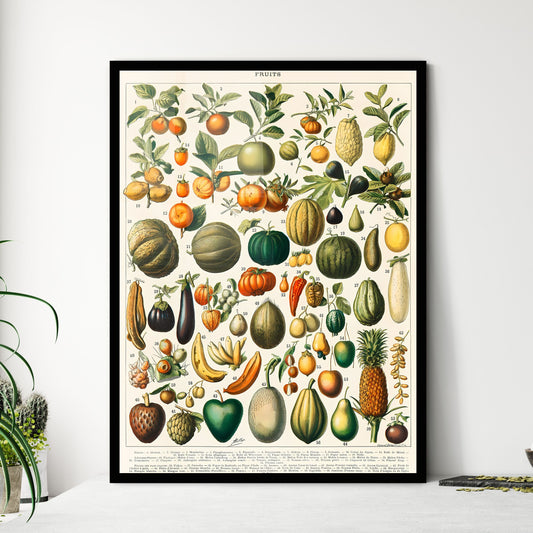 Fruits Illustration by Larousse, Pierre, Augé and Claude Art Print