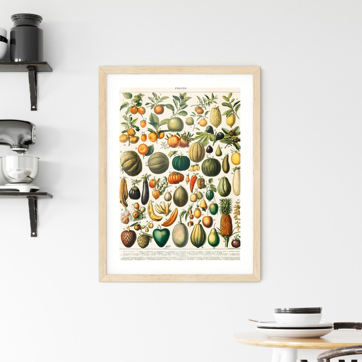 Framed Print of Fruits Illustration by Larousse, Pierre, Augé and Claude
