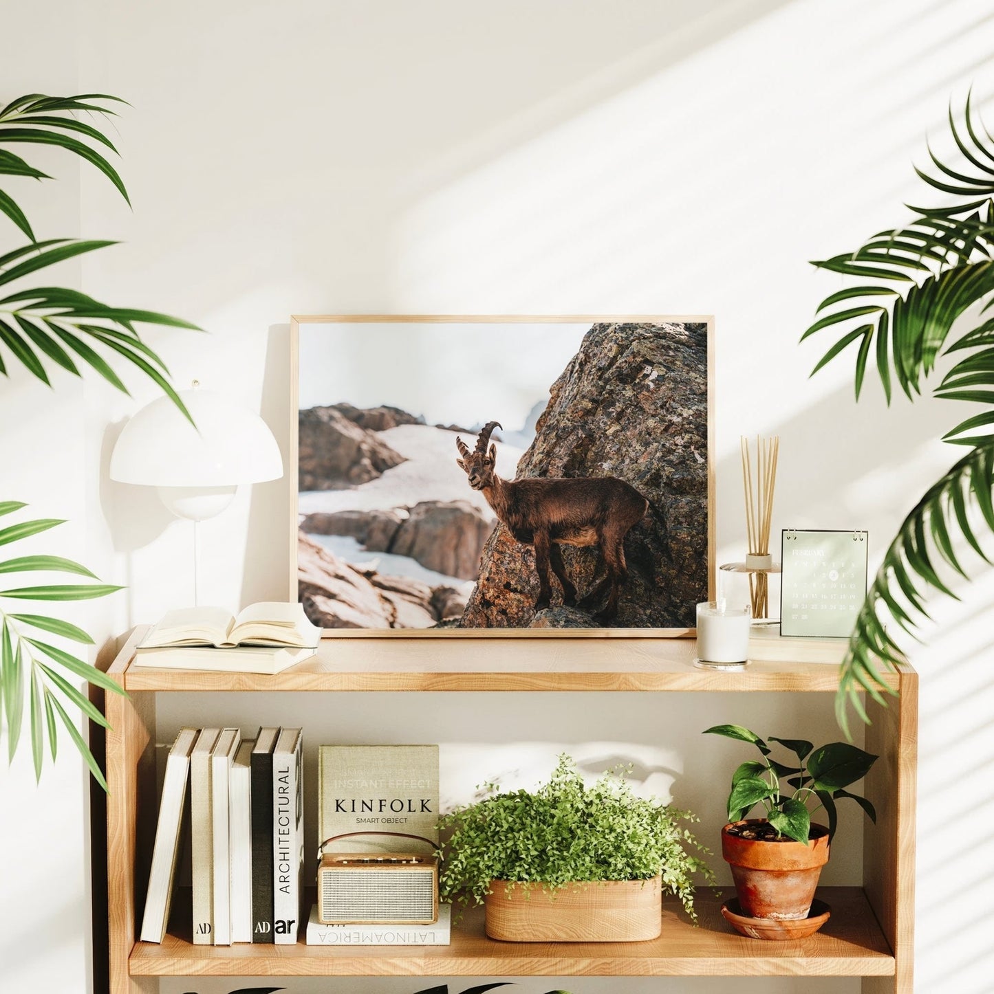 Alpine Ibex Wall Art | Wildlife Print