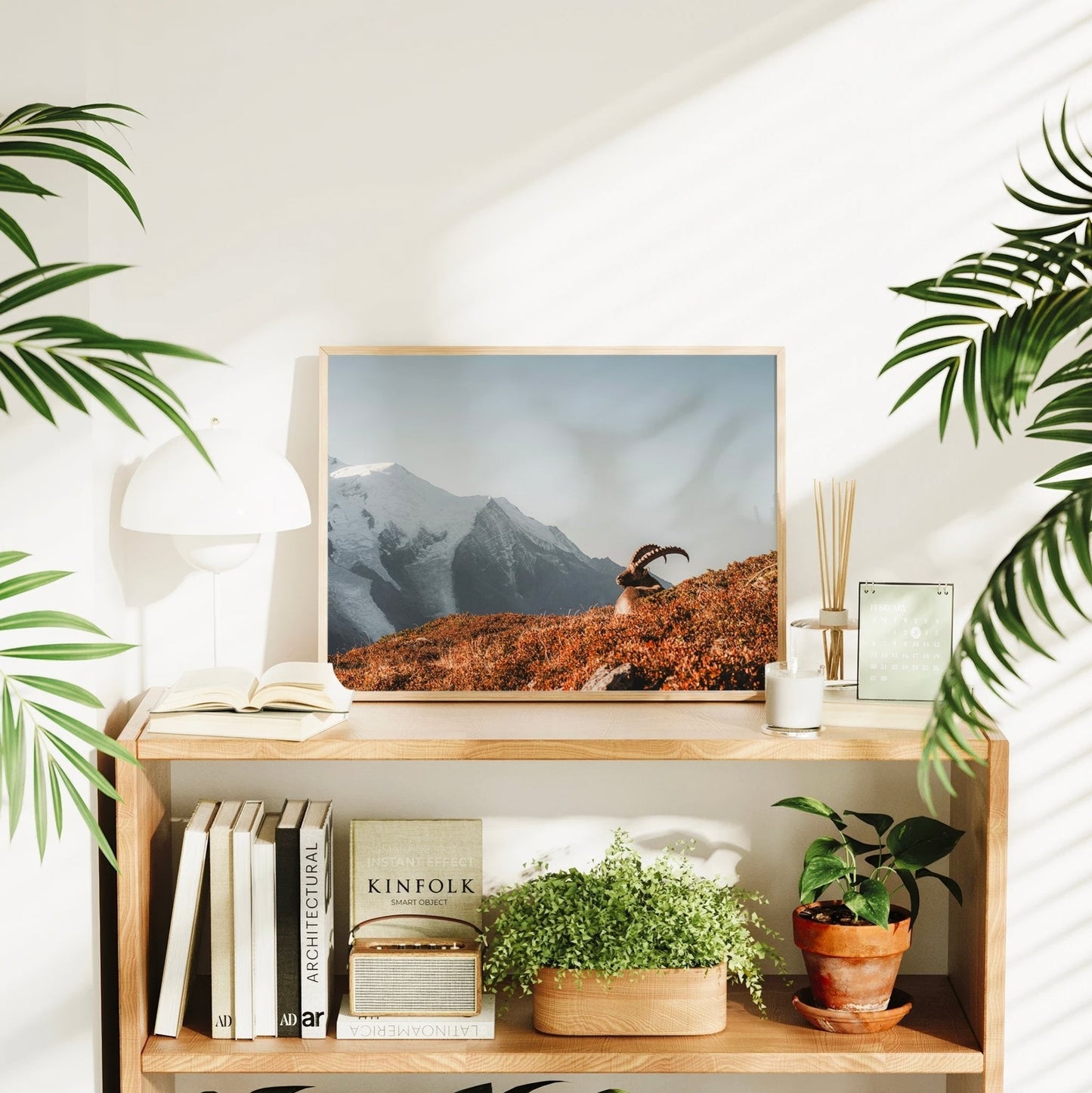 Ibex at Sunrise Wall Art – Chamonix Mont Blanc Wildlife Print