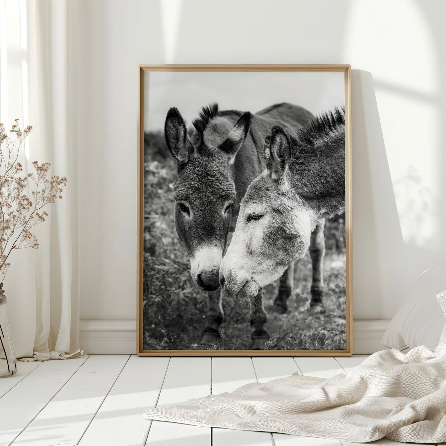Irish Donkeys – Black and White Animal Photography Wall Art Print