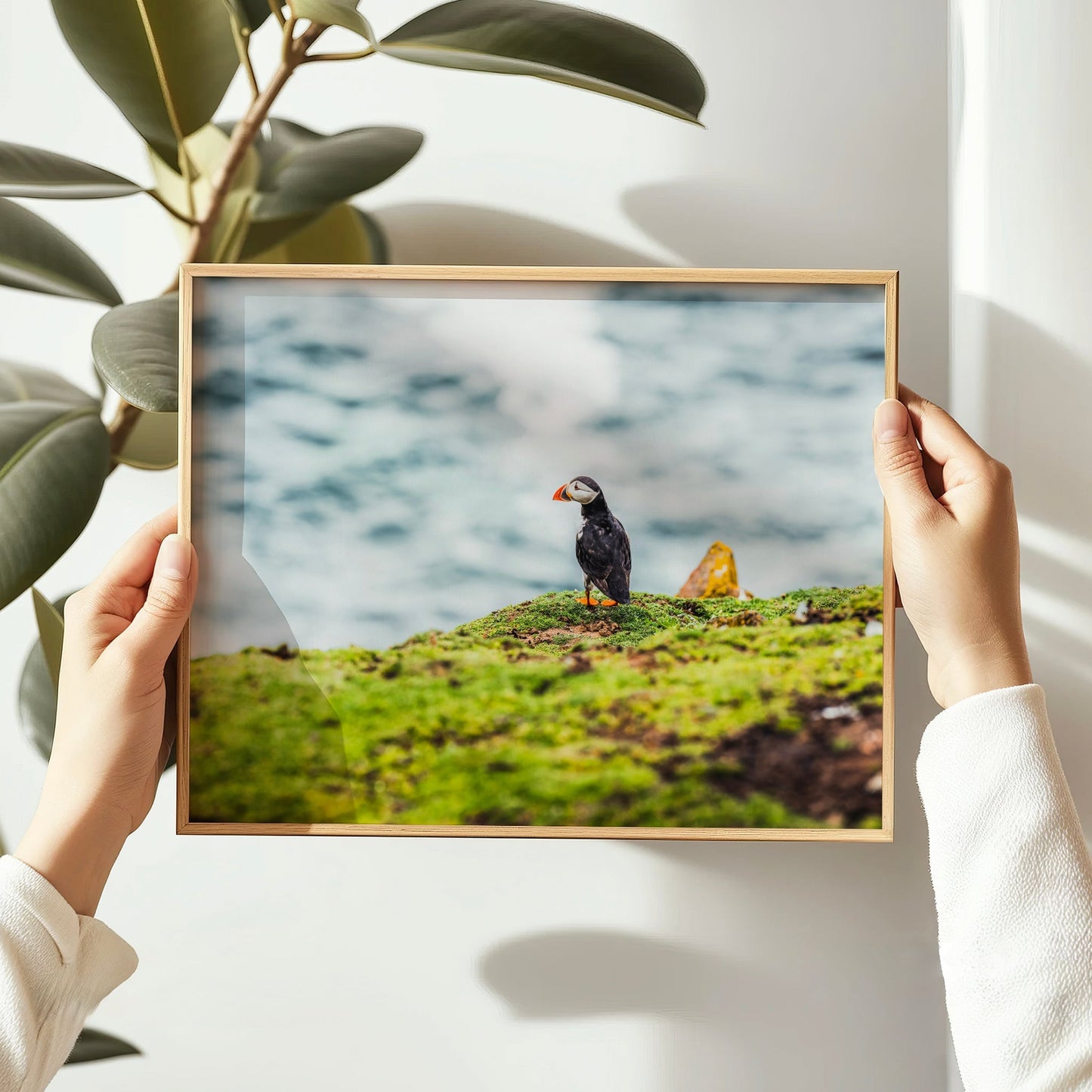 Puffin on Saltee Island – Irish Coastal Wall Art Print